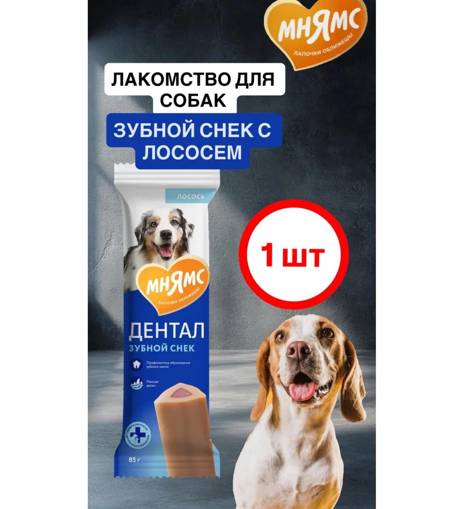 Mnyams Dental's delicacy for dogs "dental snack" with salmon 95g - Buy Online on GoSupps.com