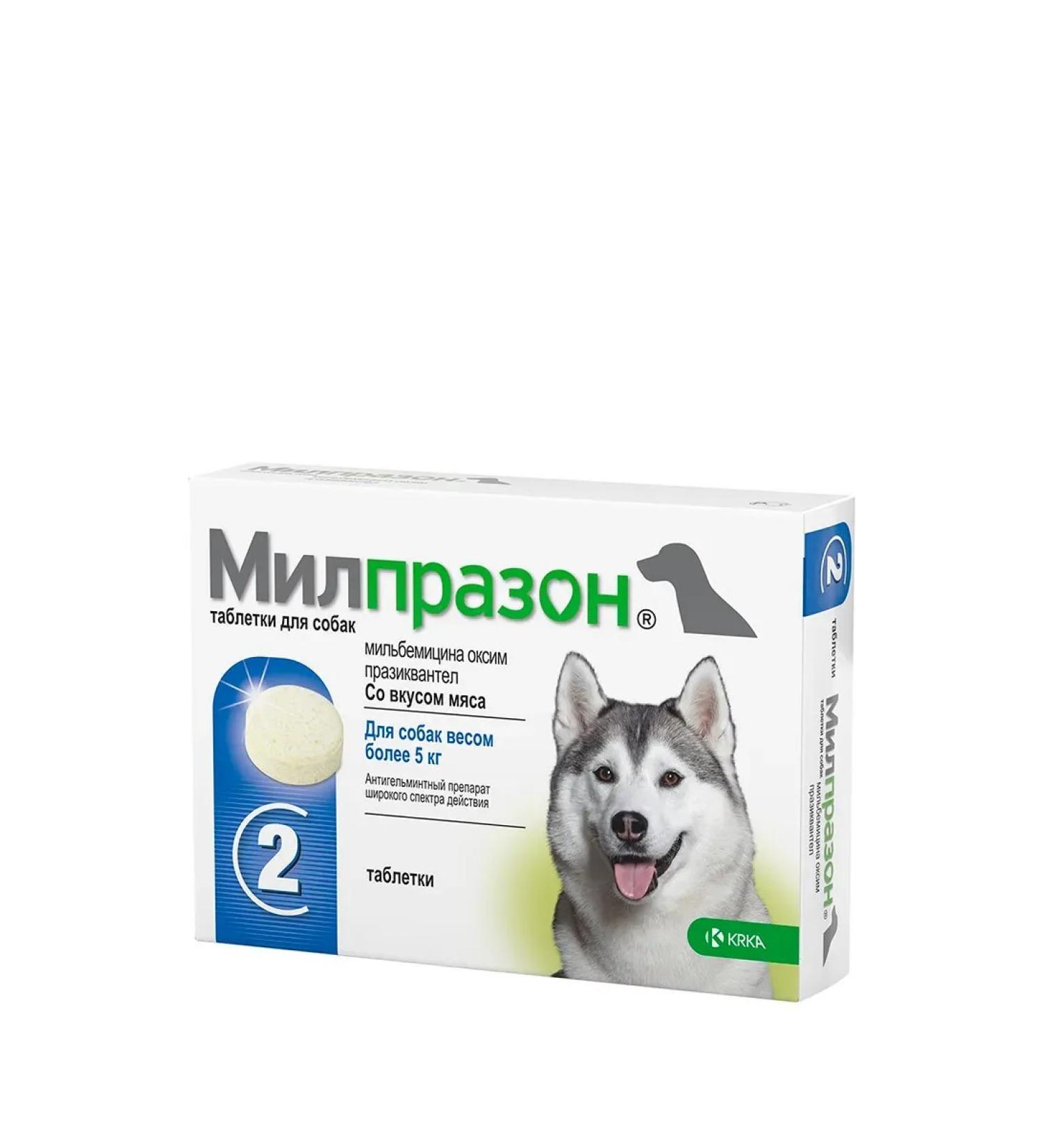 KRKA Milprazon anthelmintic drug for dogs from 5kg