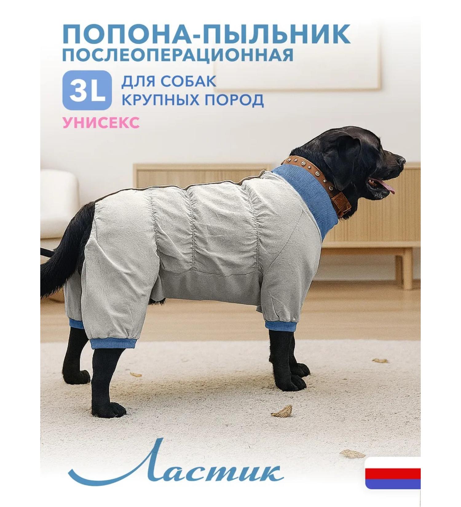 MOORLAND Popon for a large dog postoperative boot - Buy Online on GoSupps.com