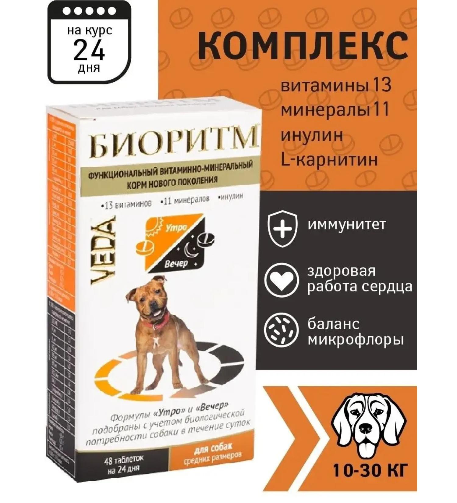 VEDA Vitamin-mineral complex for dogs biorhythm - Buy Online on GoSupps.com