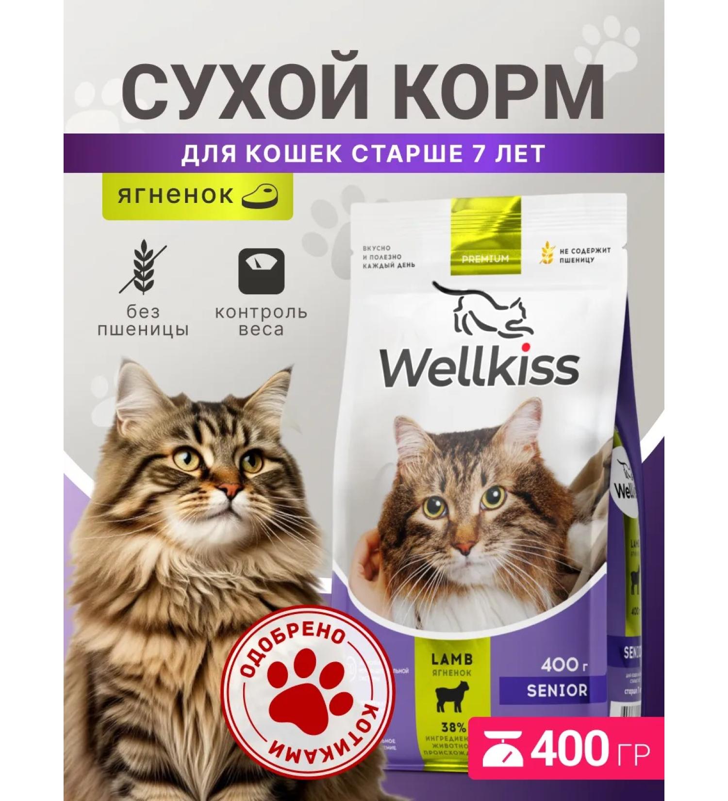 Wellkiss Dry food for cats over 7 years old 400 grams - Buy Online on GoSupps.com