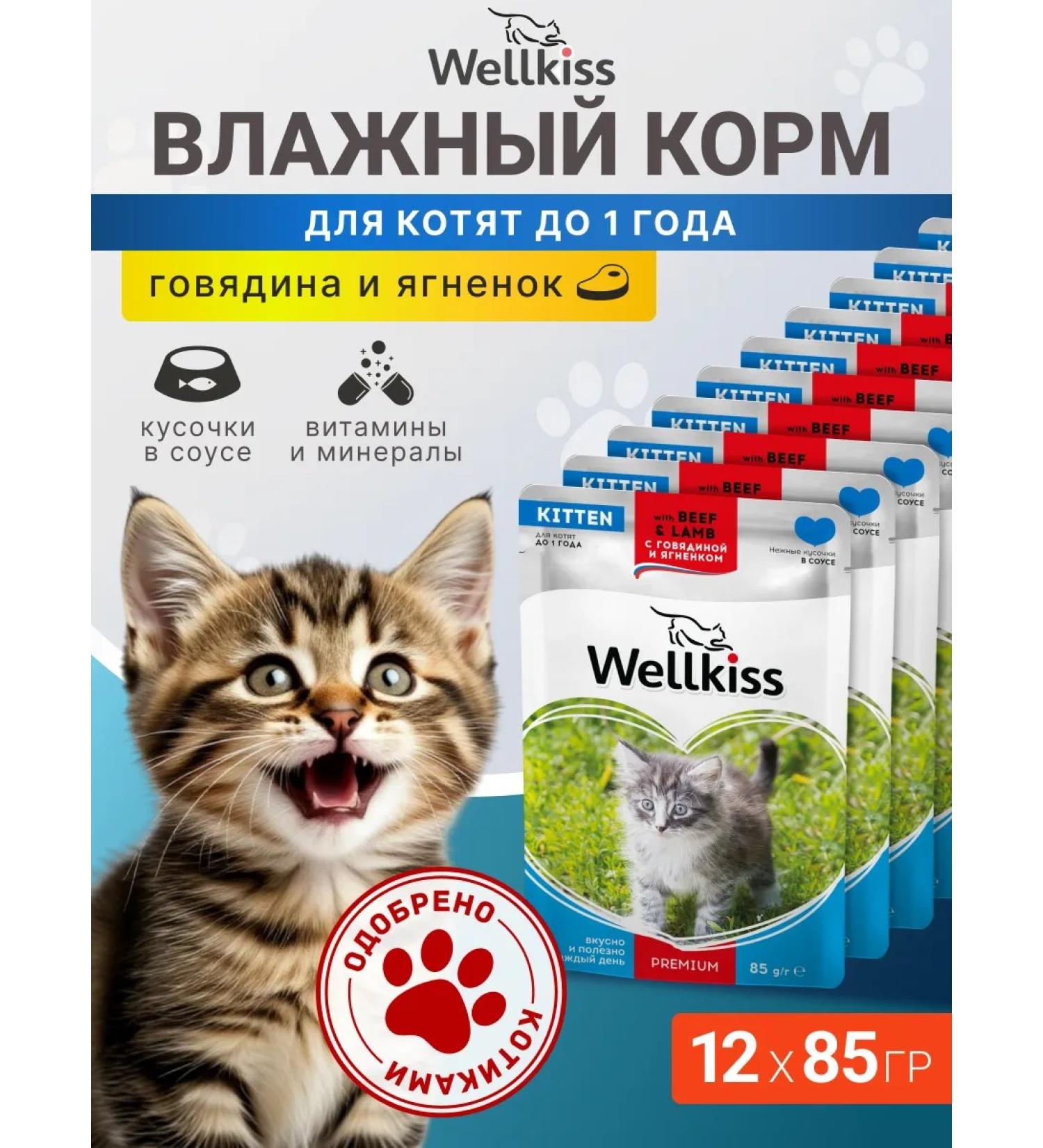 Wellkiss Wet food for kittens with lamb and beef in sauce 85 g * 12 pcs. - Buy Online on GoSupps.com