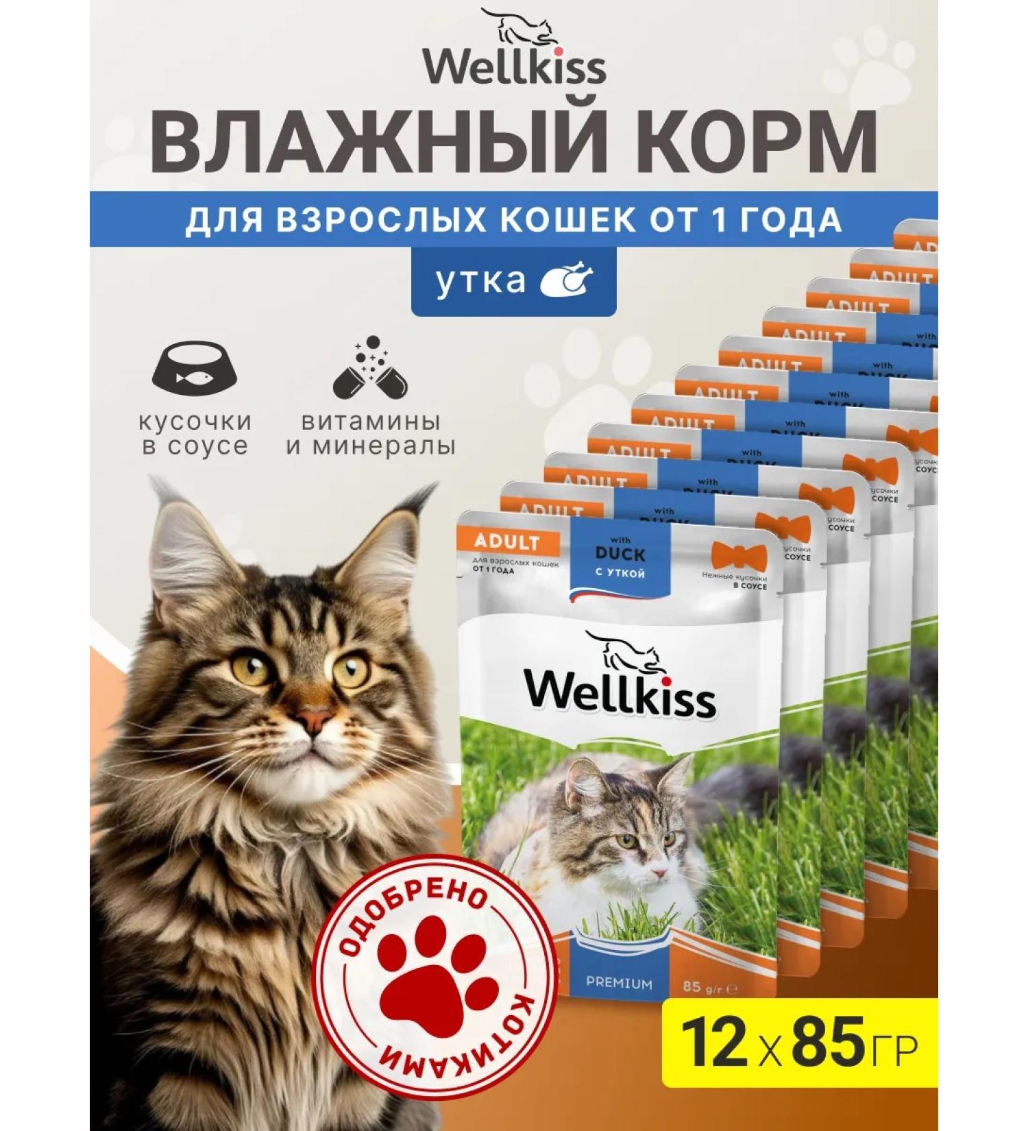 Wellkiss Wet food for adult cats with duck in sauce 85 g * 12 pcs. - Buy Online on GoSupps.com