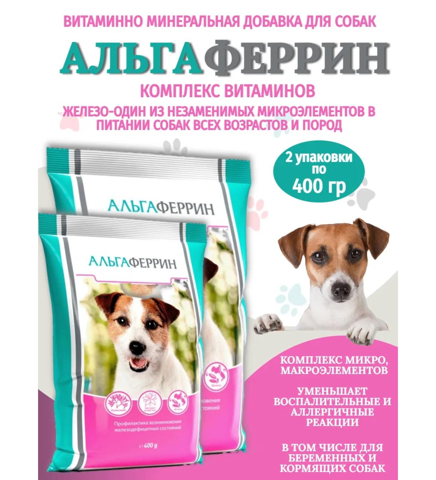 MEALBERRY Vitamin-mineral mixture for dogs Algaferrin 800 grams