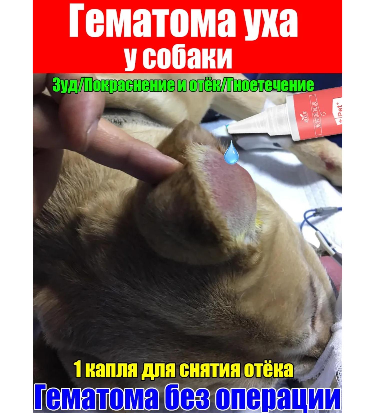 Ear Drops for Dogs - Buy Online on GoSupps.com