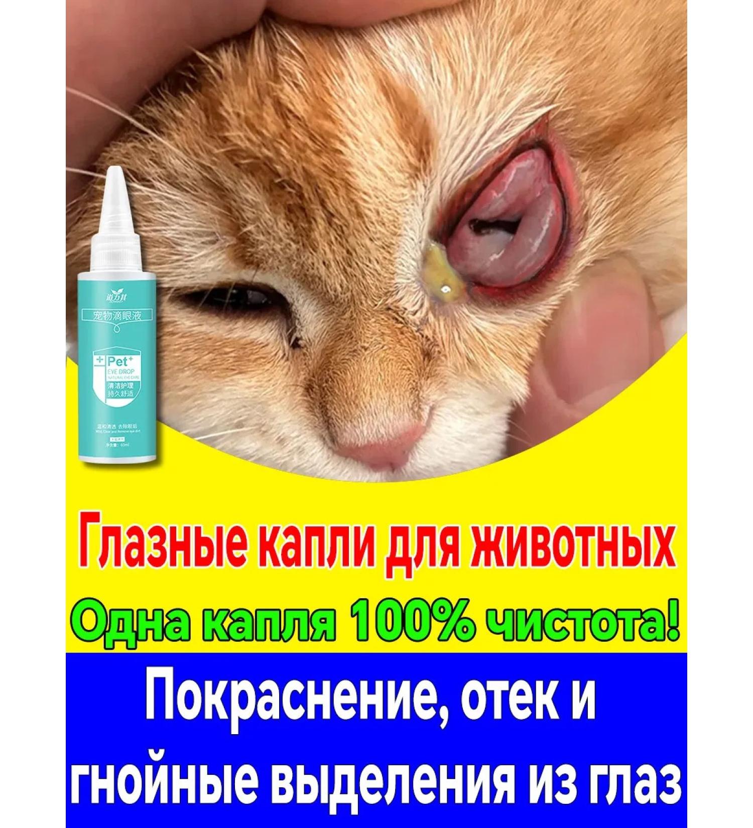 Eye drops for cats 180ml - Buy Online on GoSupps.com