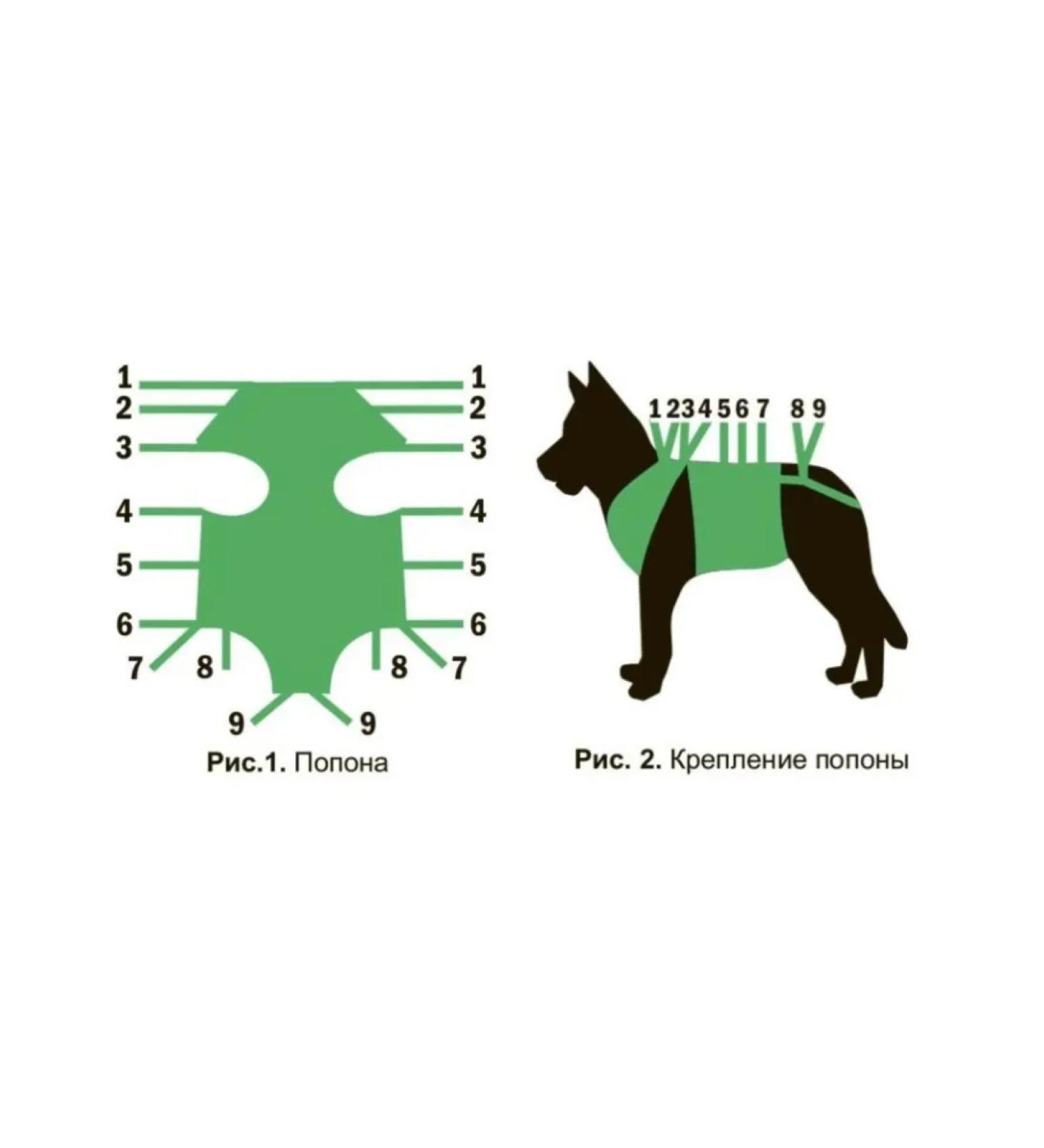 Postoperative blanket for dogs No. 3