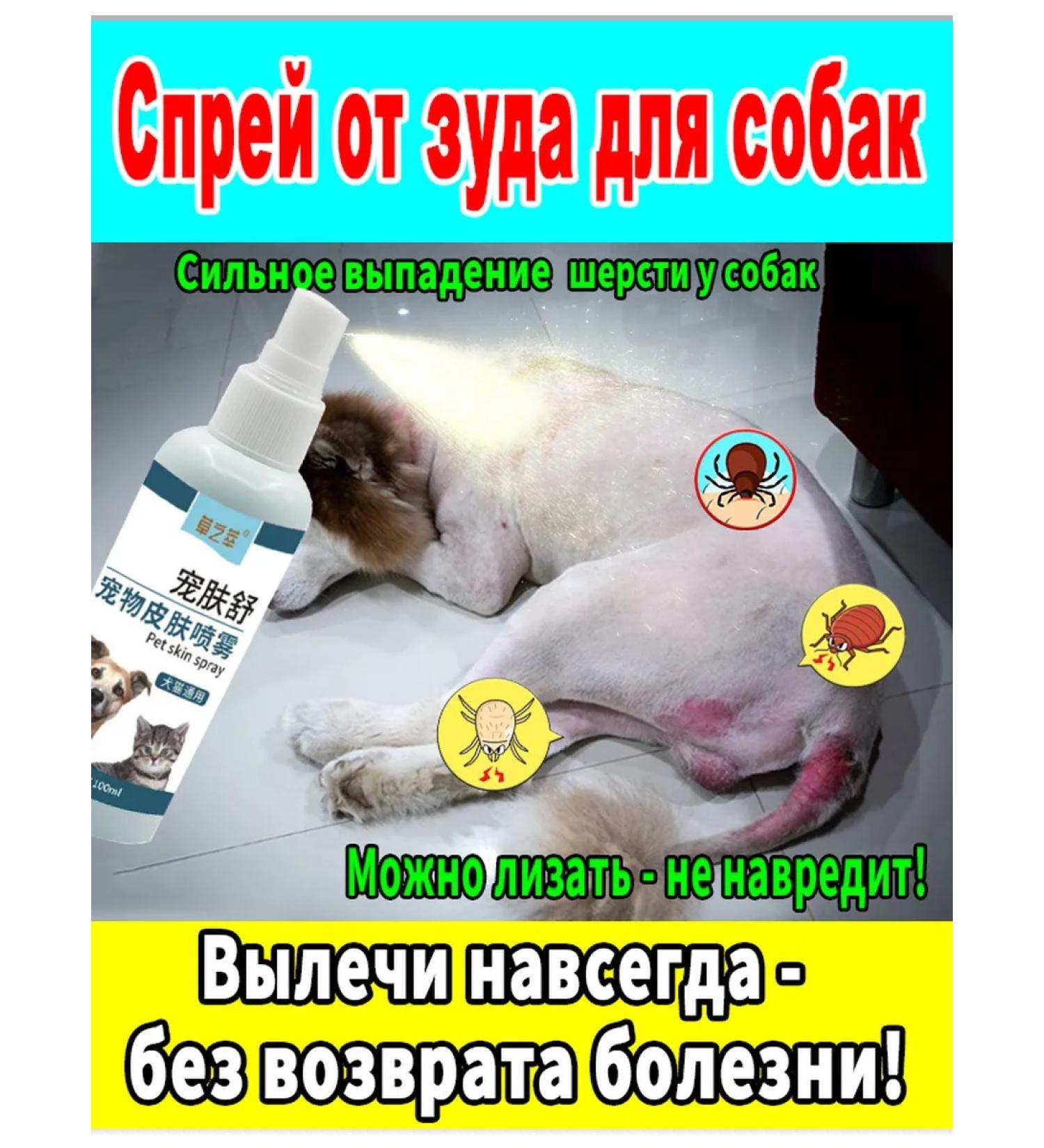 Antizate spray for dogs 100 ml - Buy Online on GoSupps.com