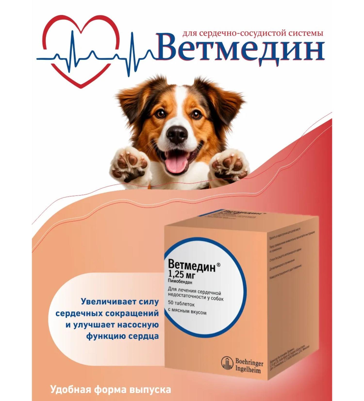 Boehringer Ingelheim Detmyedine tablets S 1.25 mg 50pcs. in the unit