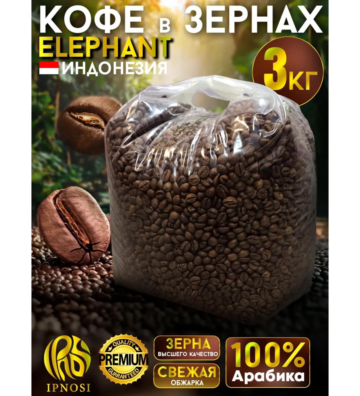 IPNOSI Coffee in grains 3 kg of arabica 100% Indonesia ElePhant - Buy Online on GoSupps.com