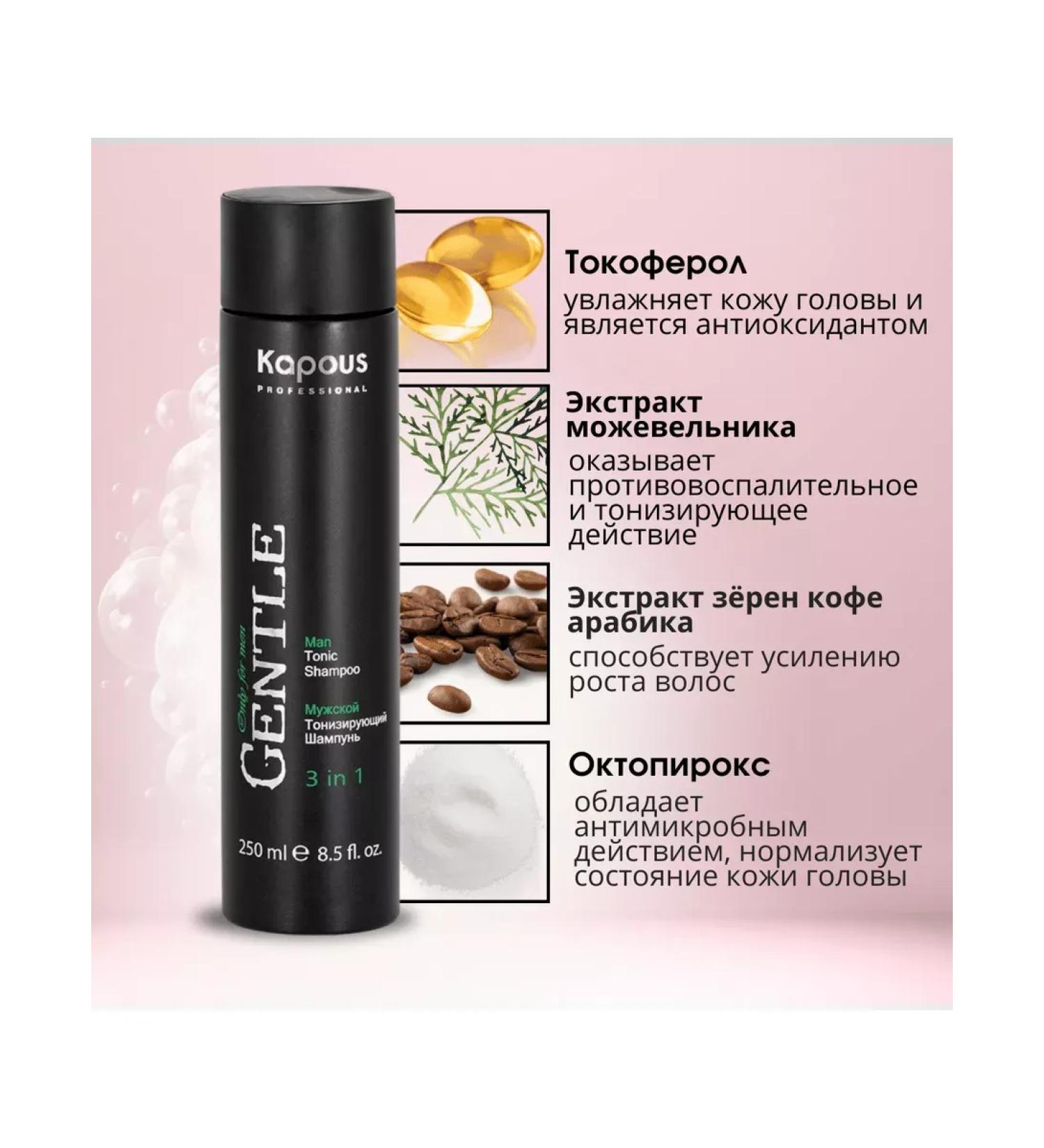 OthehouseholsupplieLabs Hair shampoo 3B1 Male Gentlemen 250 ml - Buy Online on GoSupps.com