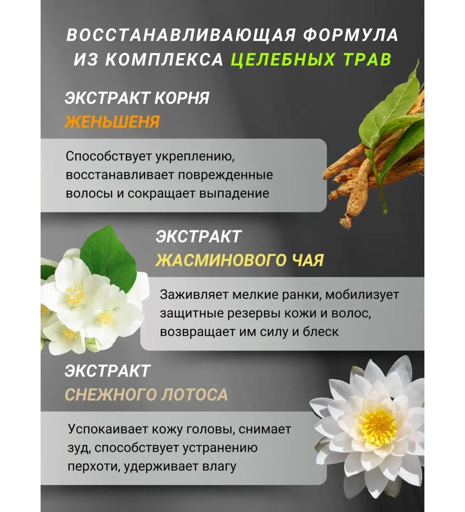 HaiconditionerMax Hair air conditioning from falling out 200 ml - Buy Online on GoSupps.com