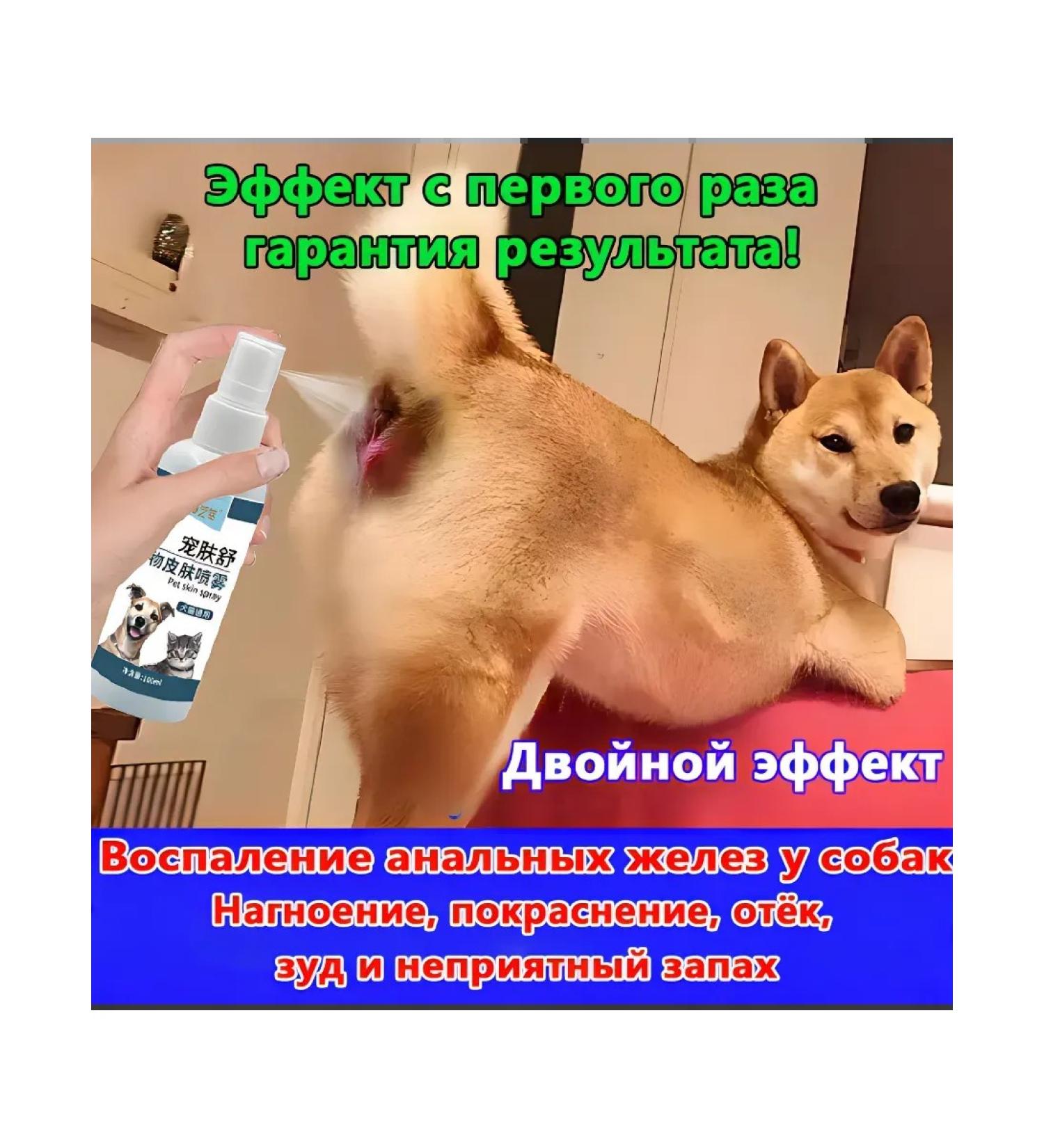 SPRIENCE-help with problems of the anal glands in dogs - Buy Online on GoSupps.com