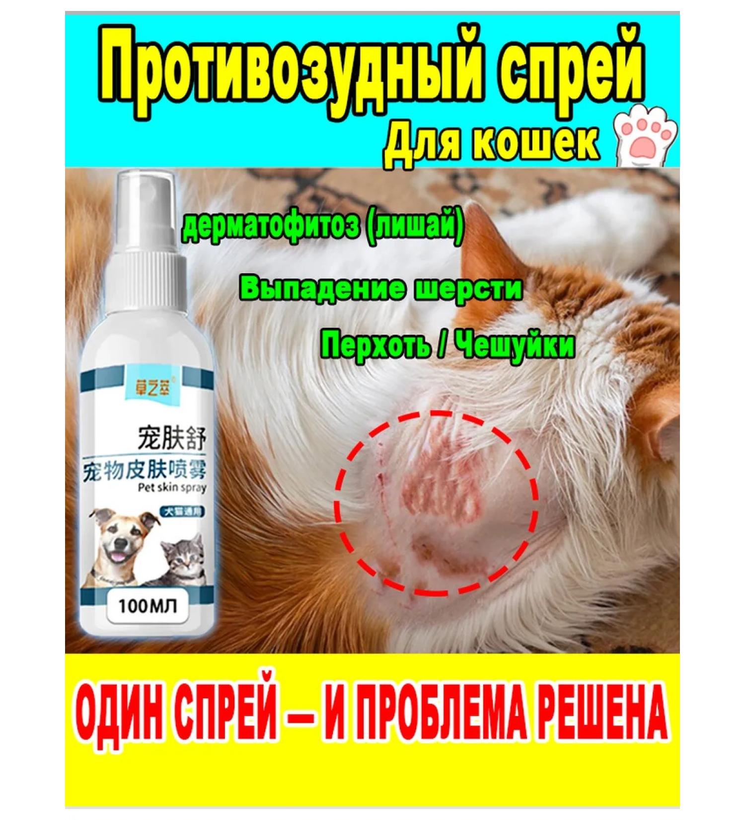 Antipruritic spray for cat skin 100 ml - Buy Online on GoSupps.com