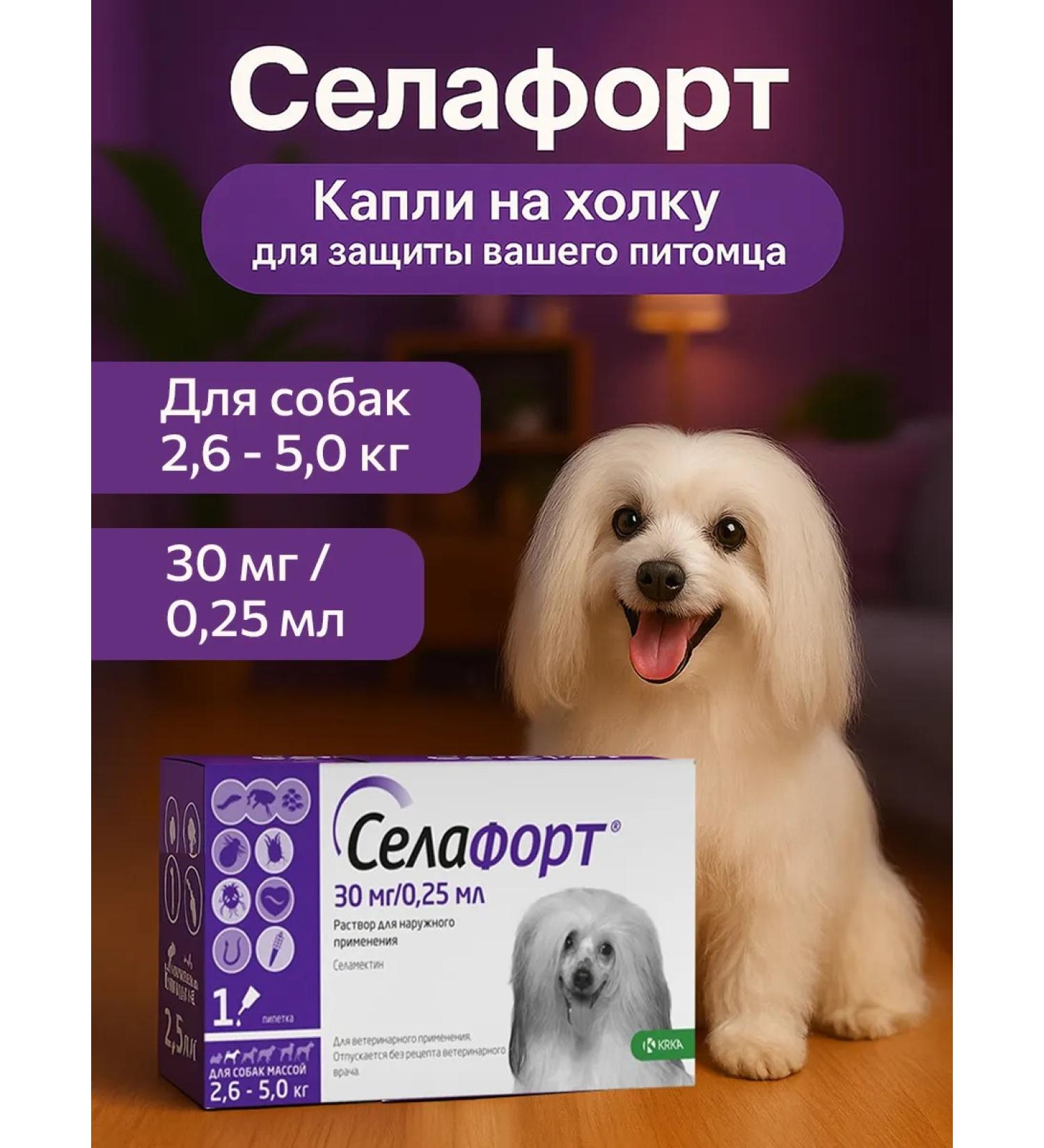 KRKA From fleas and ticks of Sealess for dogs from 2.6 to 5 kg - Buy Online on GoSupps.com