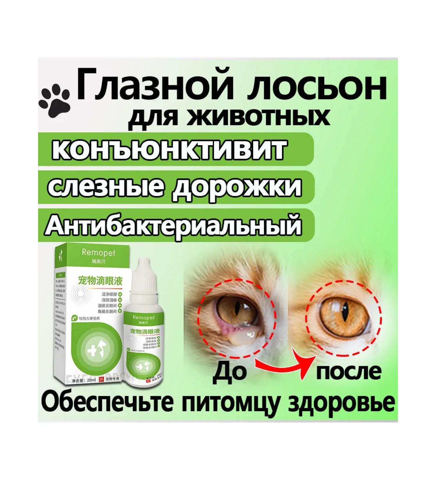 Eye drops for cats and dogs from conjunctivitis 20 ml - Buy Online on GoSupps.com