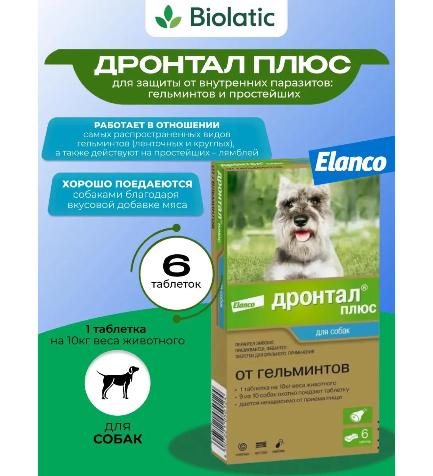 Elanco Drontal Plus for dogs 6 table - Buy Online on GoSupps.com