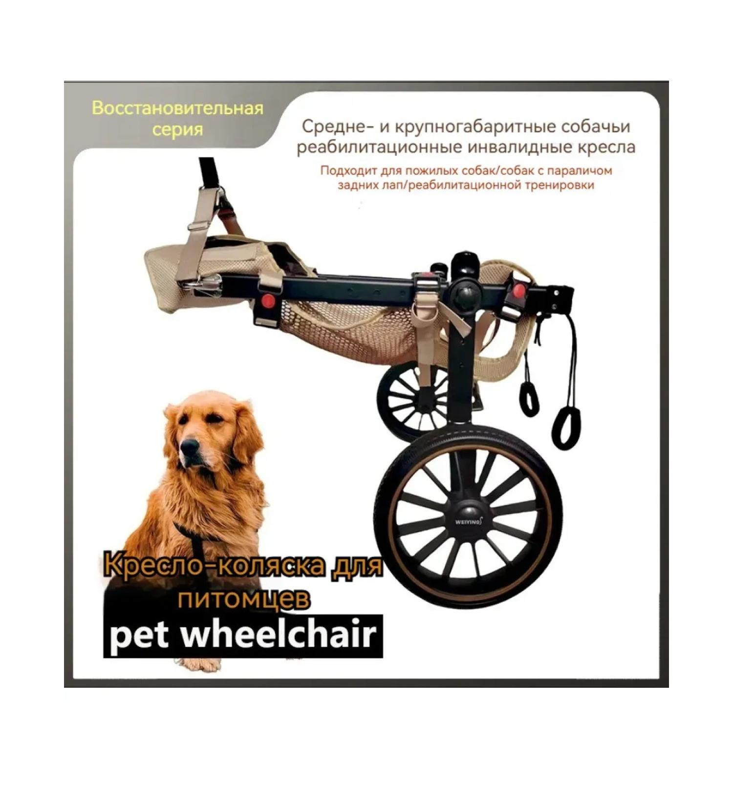Rehabilitation wheelchair for large dogs - Buy Online on GoSupps.com