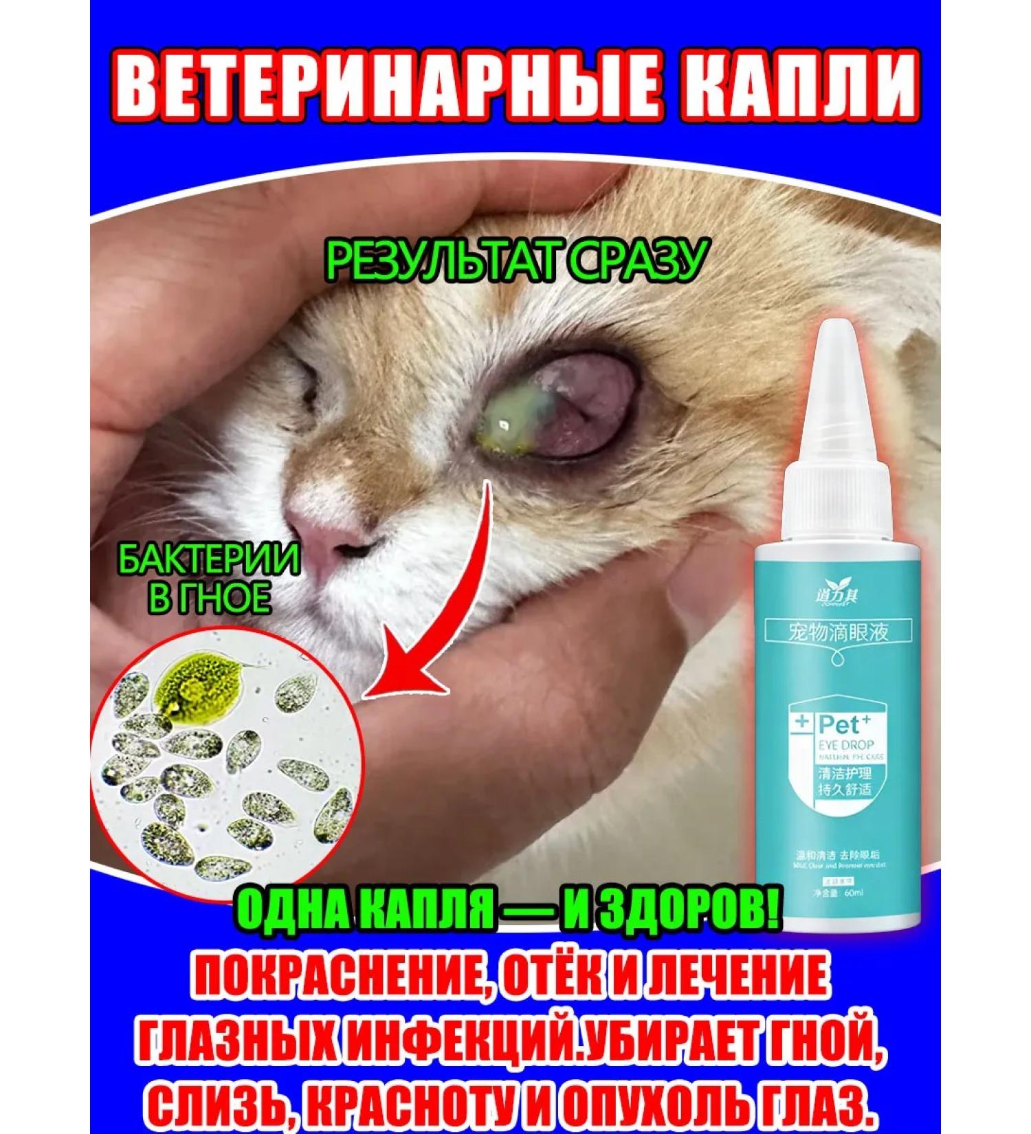 Eye drops for dogs and cats Quick treatment 60ml - Buy Online on GoSupps.com