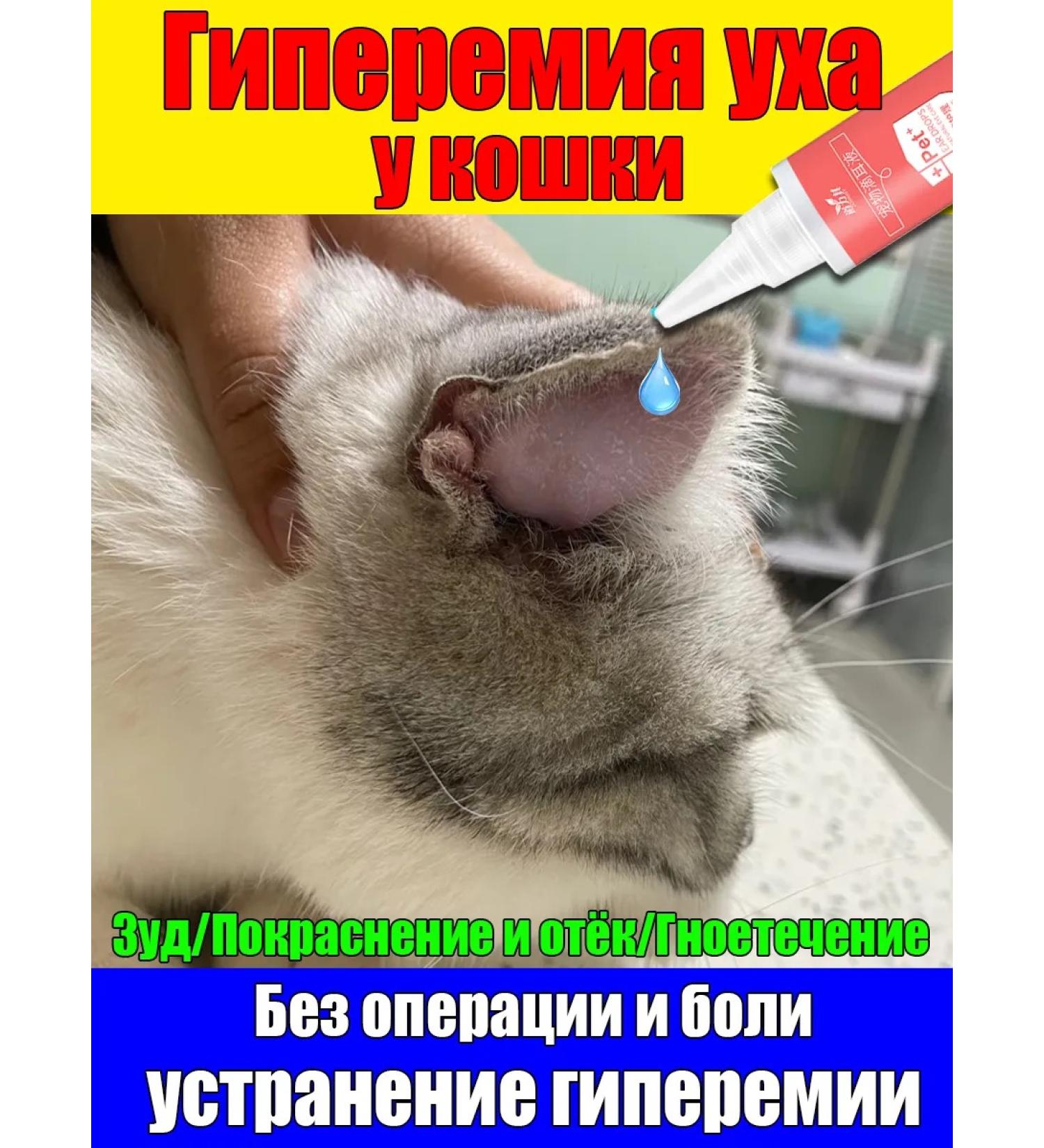 Drops for cleaning ears for dogs and cats earmarked hematoma 60ml - Buy Online on GoSupps.com