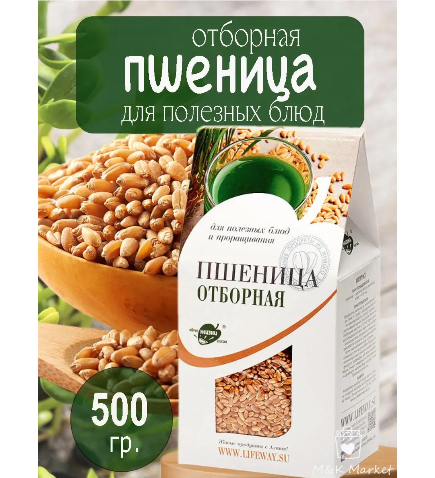 Altai lifestyle Altai wheat for healthy dishes and germination - Buy Online on GoSupps.com