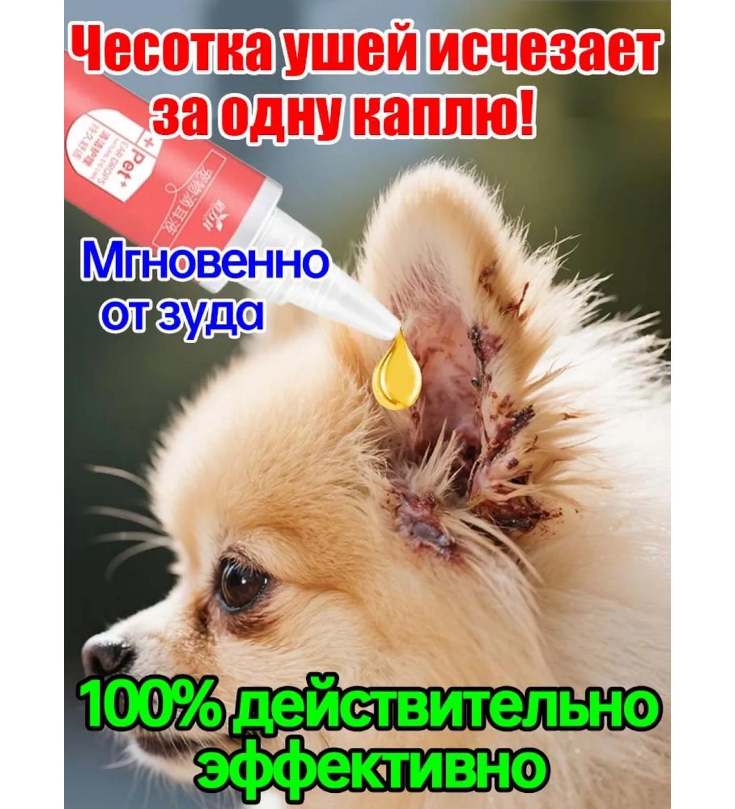 Ear drops for the treatment of tick in dogs 60 ml - Buy Online on GoSupps.com