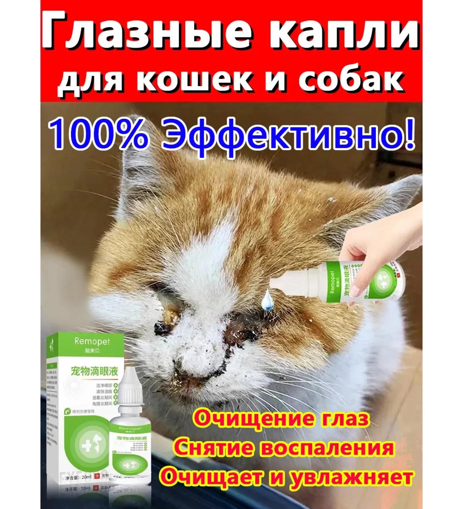 Drops for the eyes for cats and dogs 60ml - Buy Online on GoSupps.com