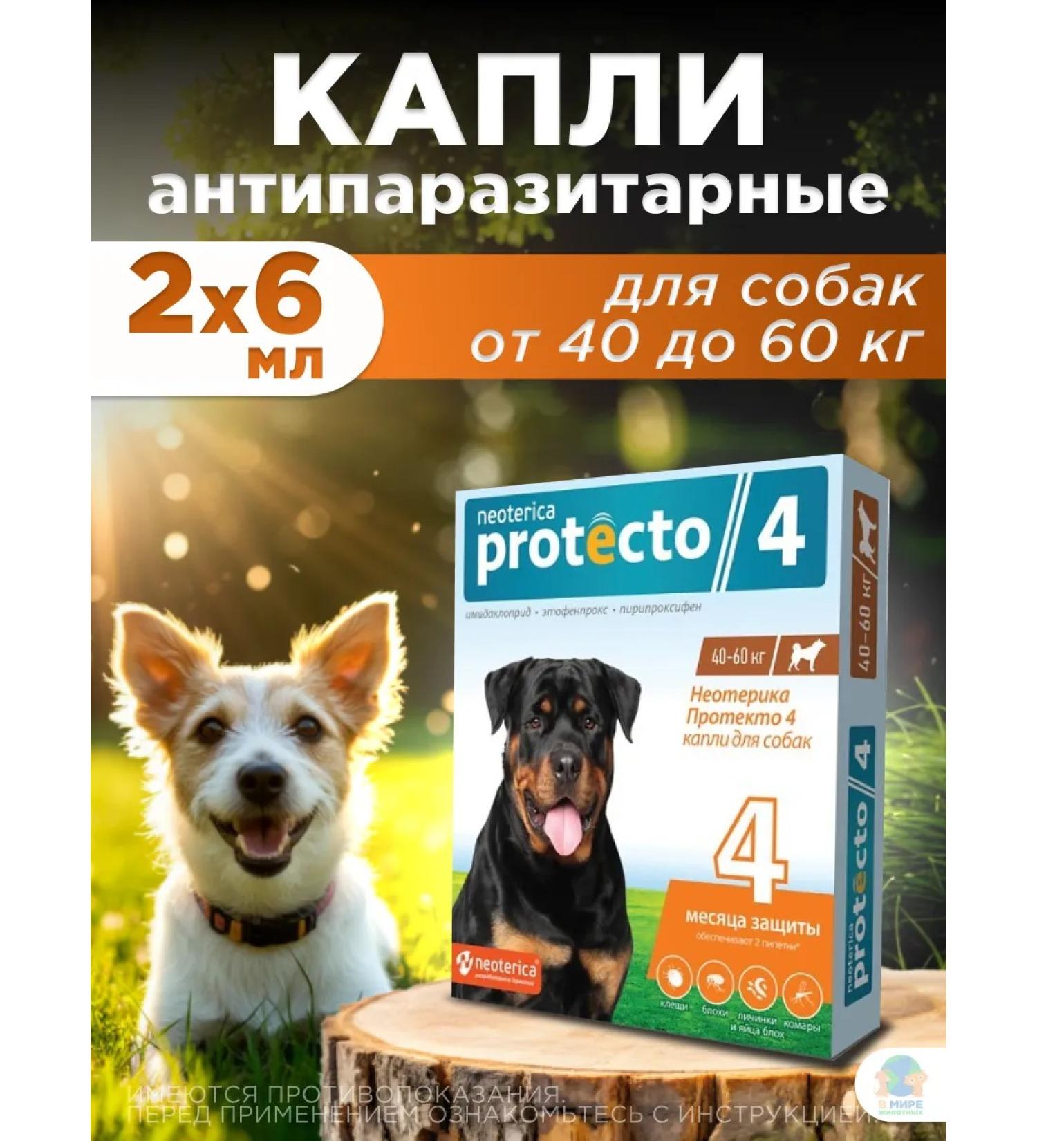 Neoterica Drops for dogs 40-60 kg - Buy Online on GoSupps.com