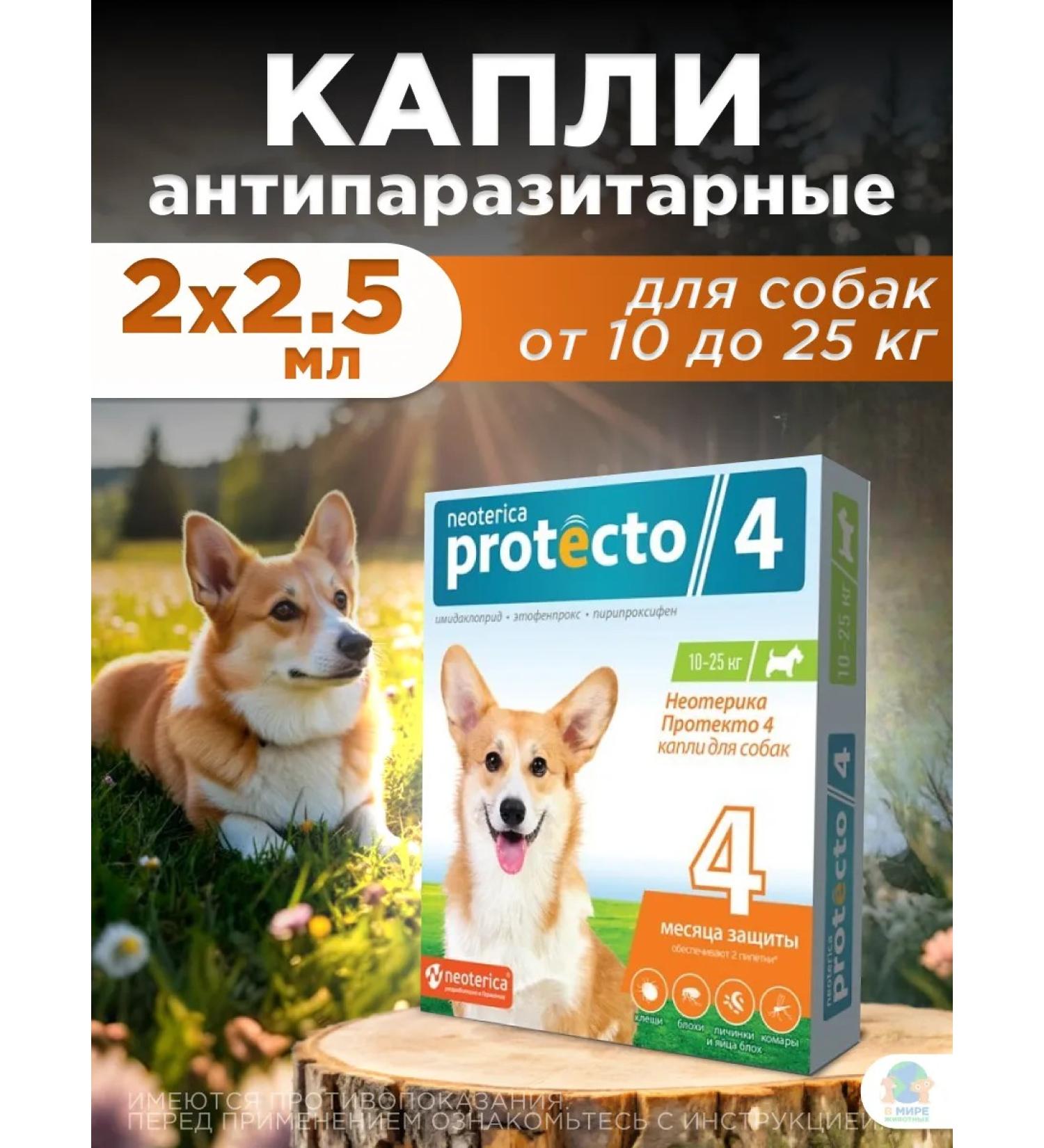 Neoterica Drops for dogs 10-25 kg - Buy Online on GoSupps.com