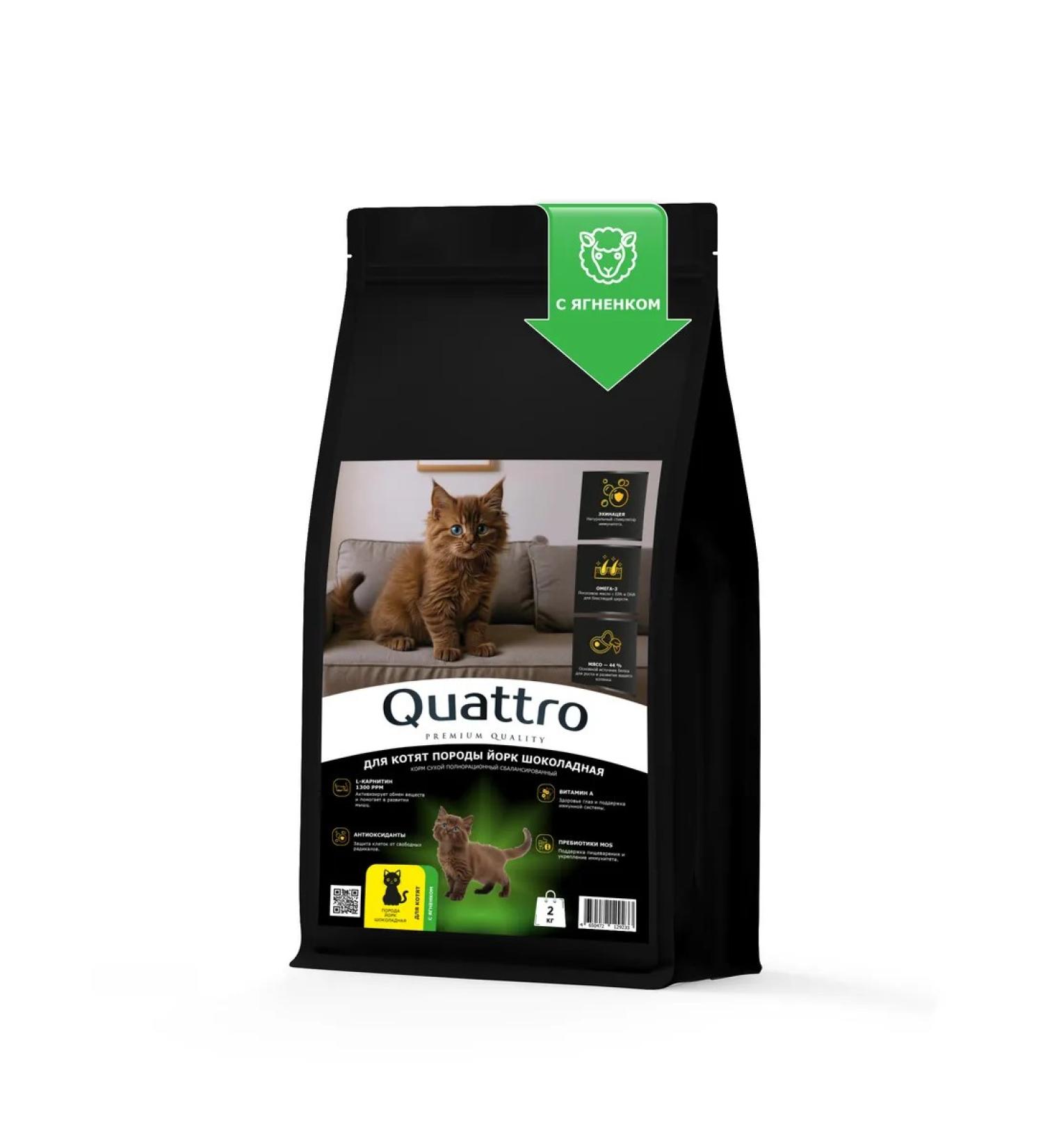 QUATTRO Feed for kittens of breeds York Chocolate with lamb 2 kg - Buy Online on GoSupps.com