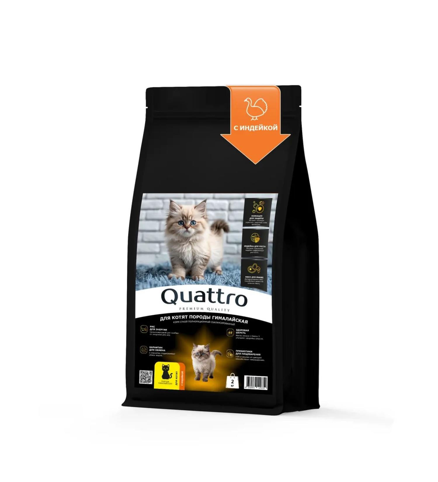 QUATTRO Feed for kittens of the Gimalayan breed with turkey 2 kg - Buy Online on GoSupps.com
