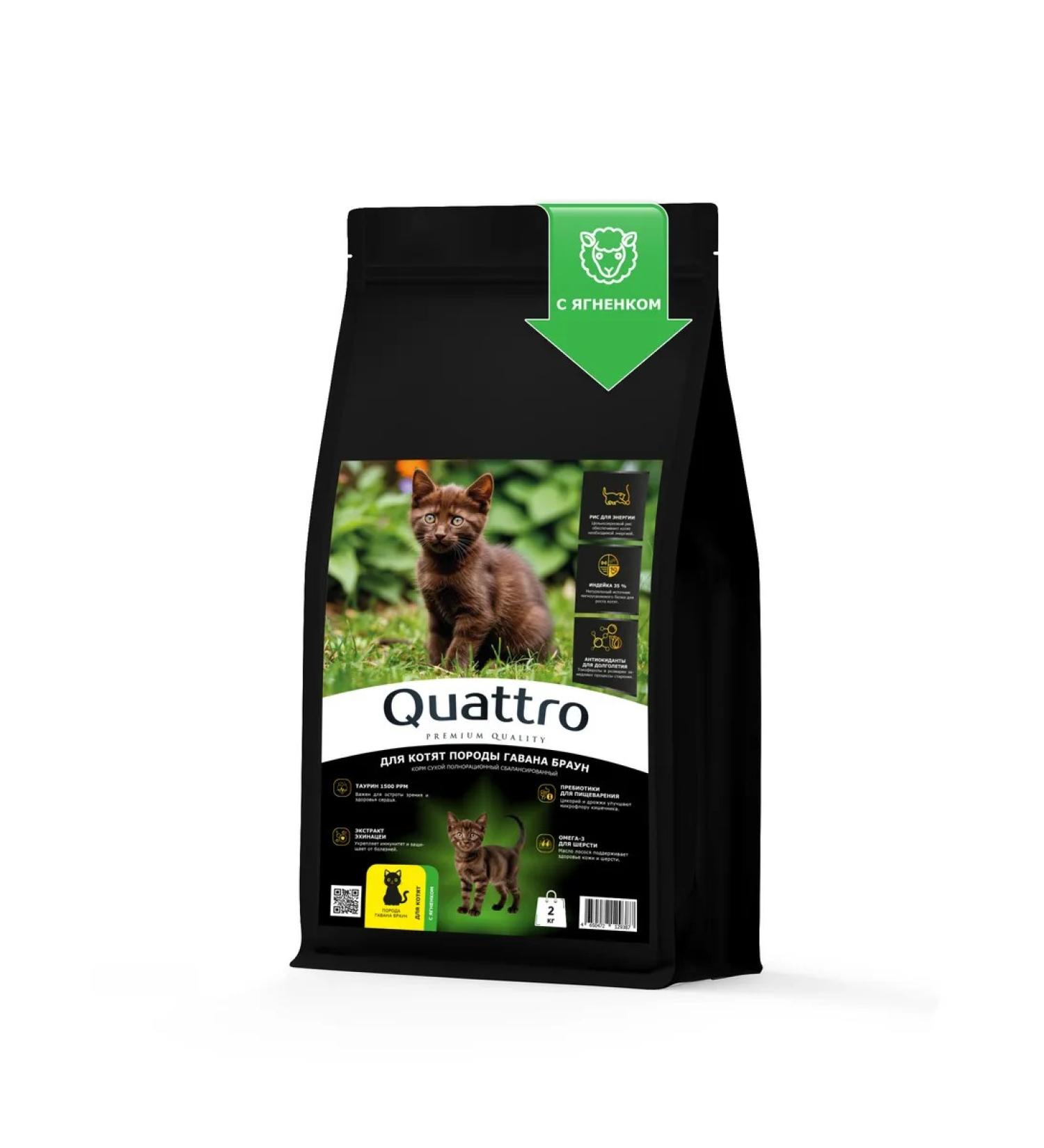 QUATTRO Feed for kittens of the breed of Havana Brown with lamb 2 kg - Buy Online on GoSupps.com
