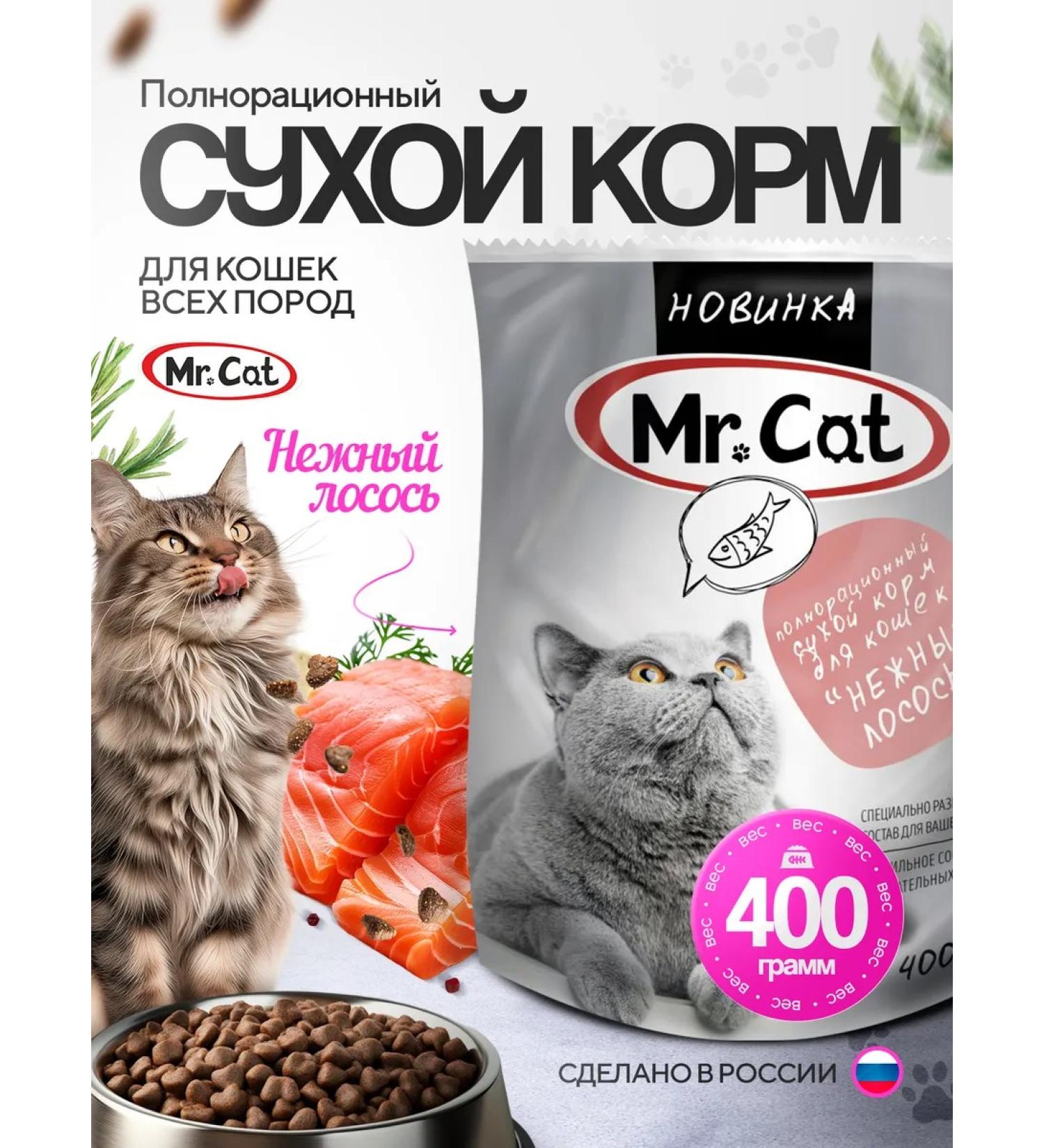 Mr Cat Dry food for cats 400 grams delicate salmon - Buy Online on GoSupps.com