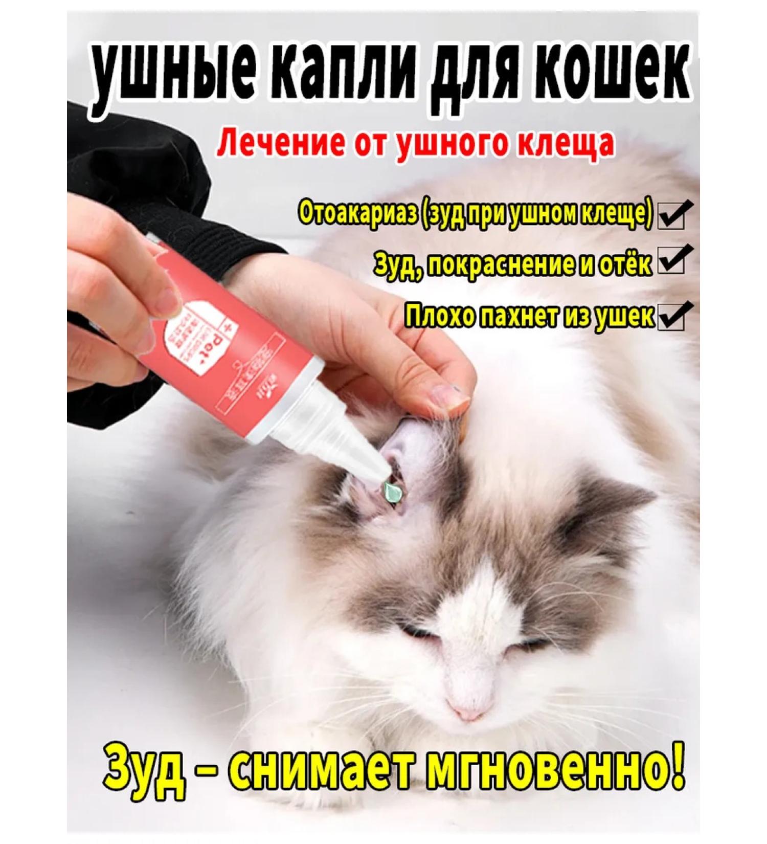 Drops for peeling for cats 60ml - Buy Online on GoSupps.com