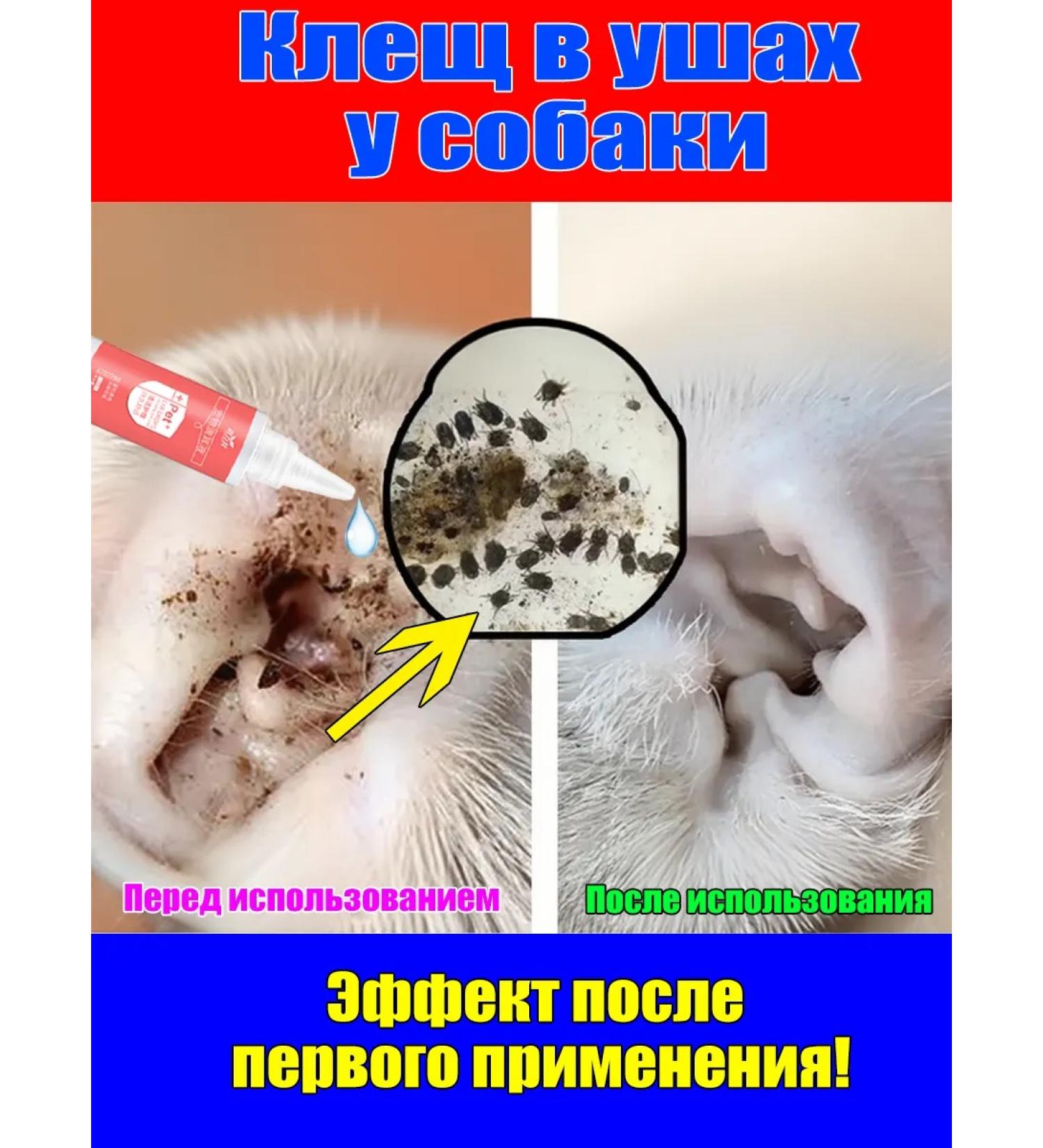 Ear drops for cats and dogs 180 ml - Buy Online on GoSupps.com