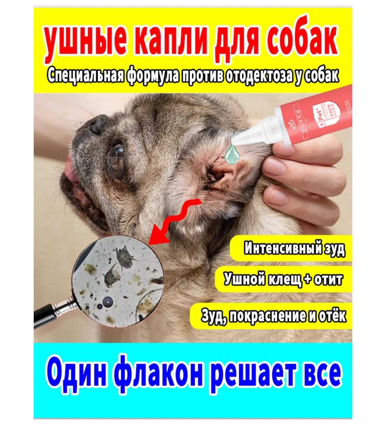 Drops from a ear tick for dogs - Buy Online on GoSupps.com