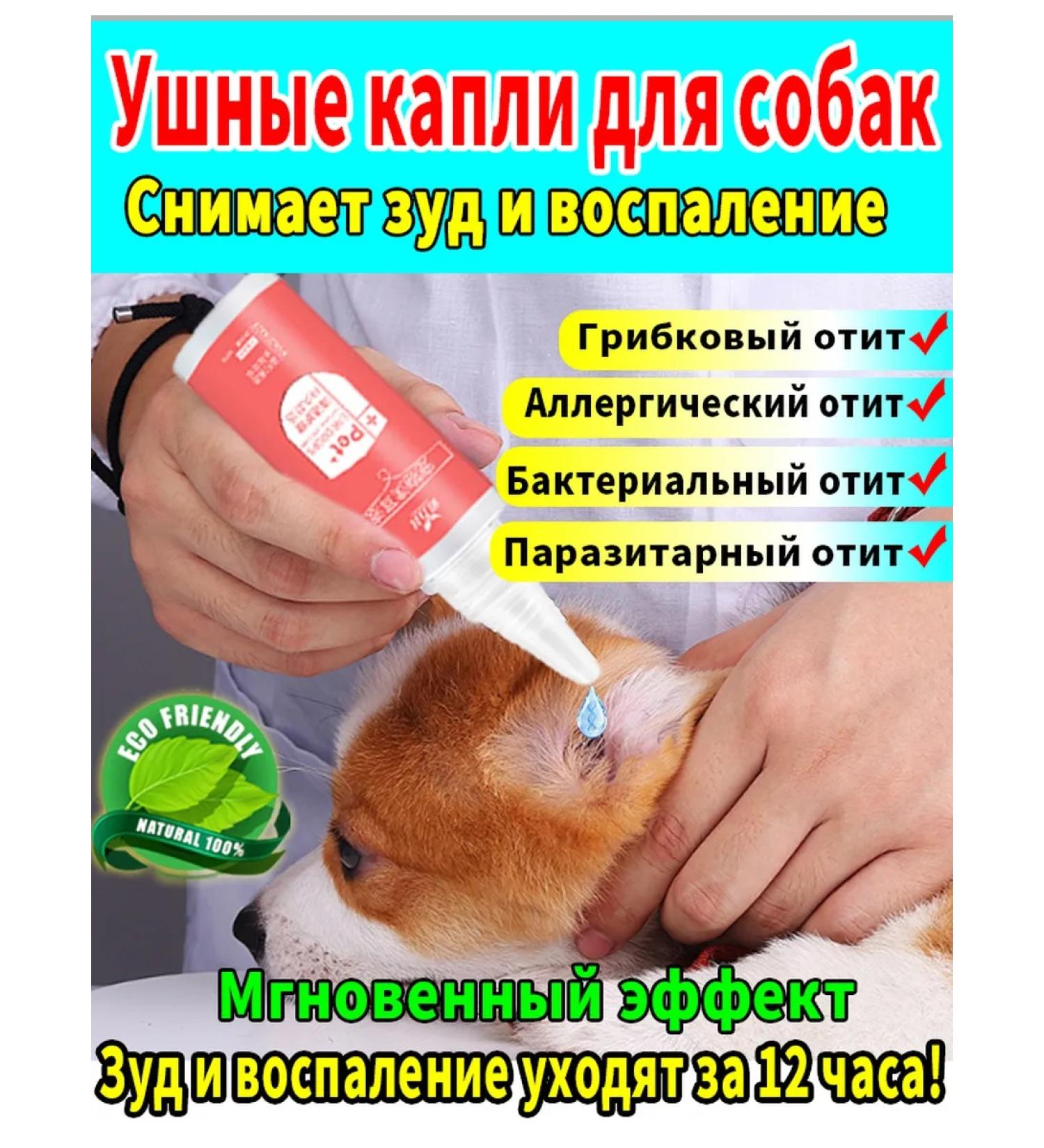 Drops for cleaning ears for dogs and cats 60 ml - Buy Online on GoSupps.com