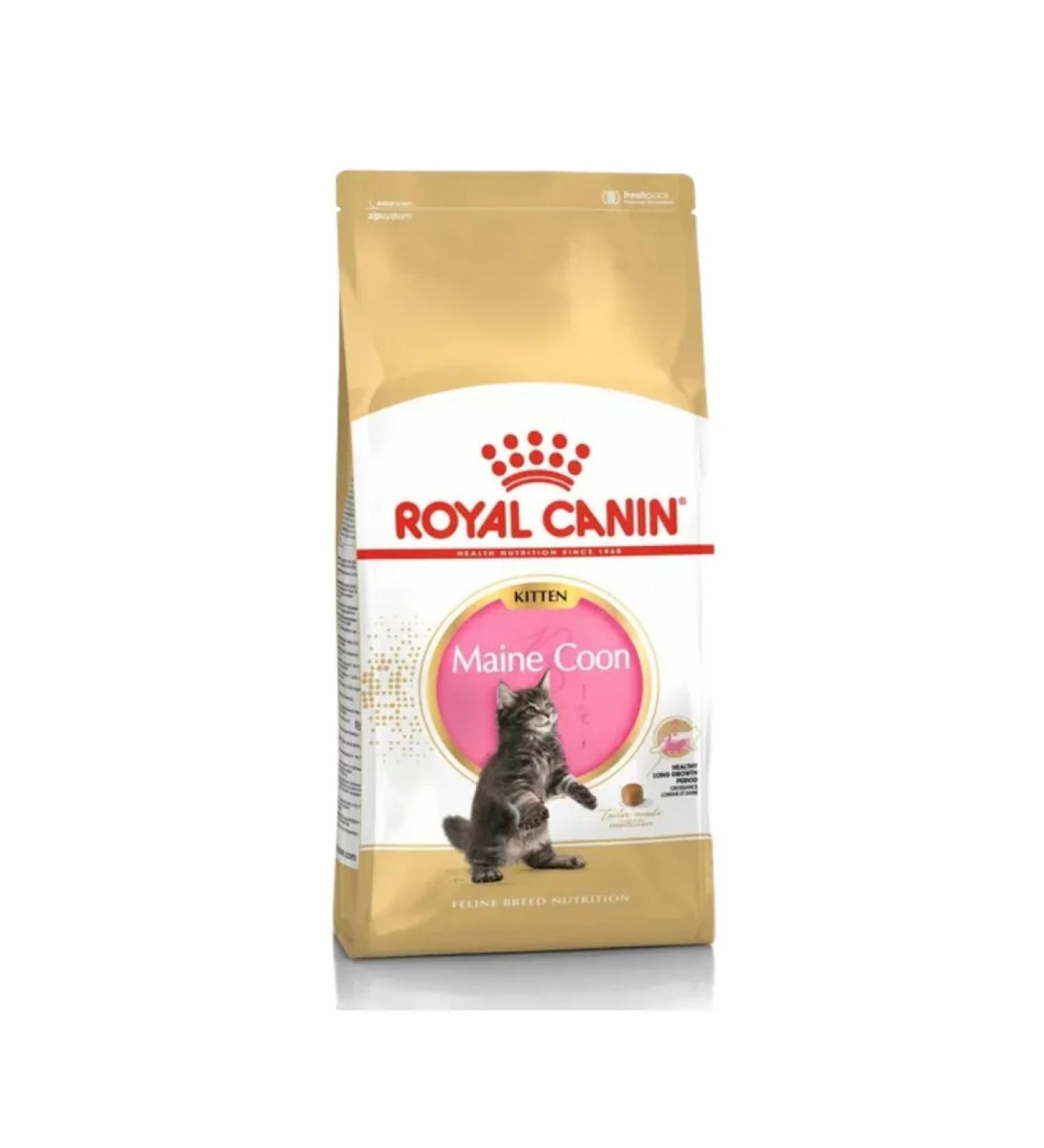 ROYAL CANIN Food for Maine Coon kittens aged 3 to 15 months 400 g - Buy Online on GoSupps.com