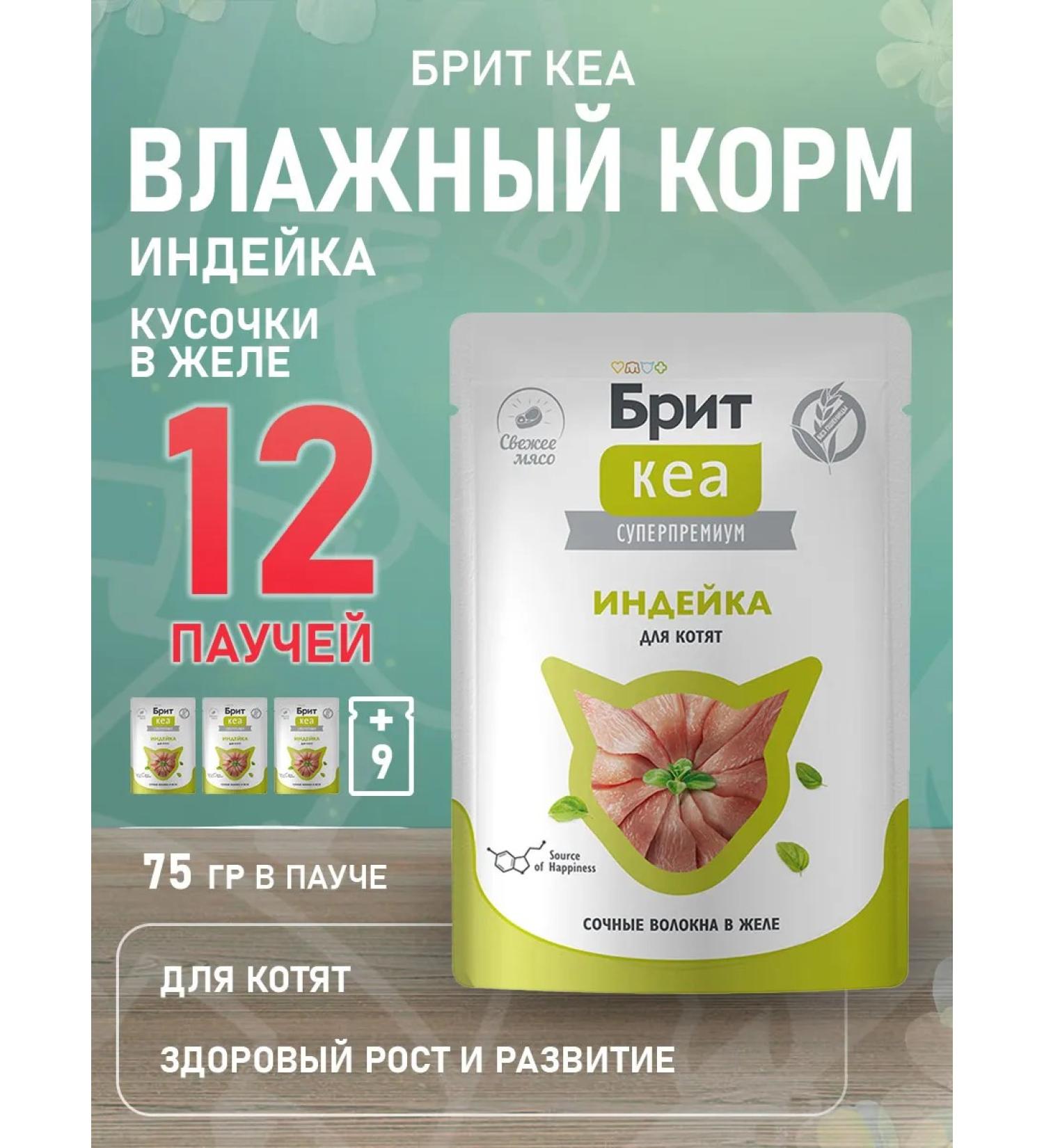 Brit Wet feed for kittens turkey in gheart 75 g 12 pcs - Buy Online on GoSupps.com