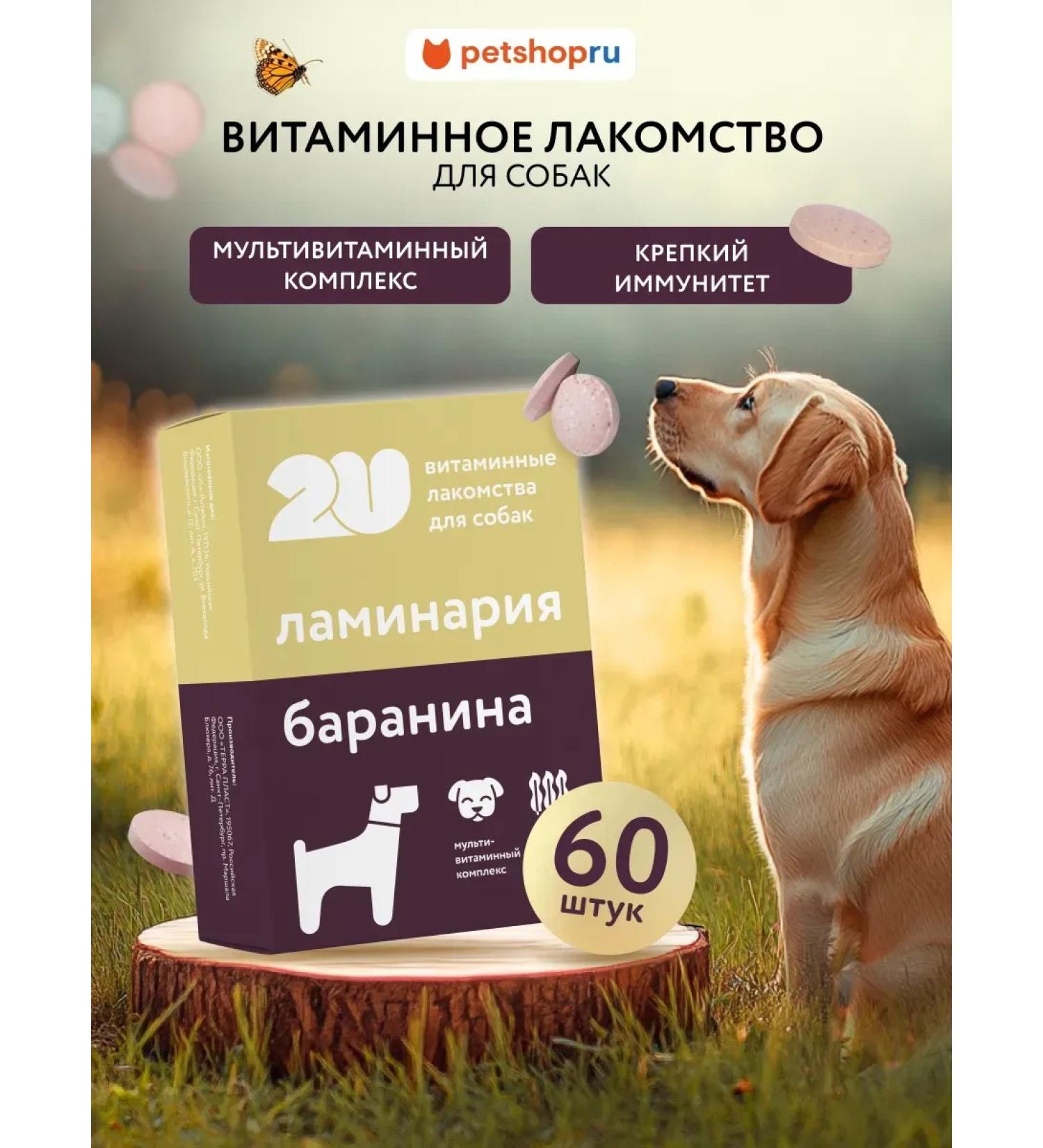 Multivitamin treat for dogs with kelp 60pcs - Buy Online on GoSupps.com