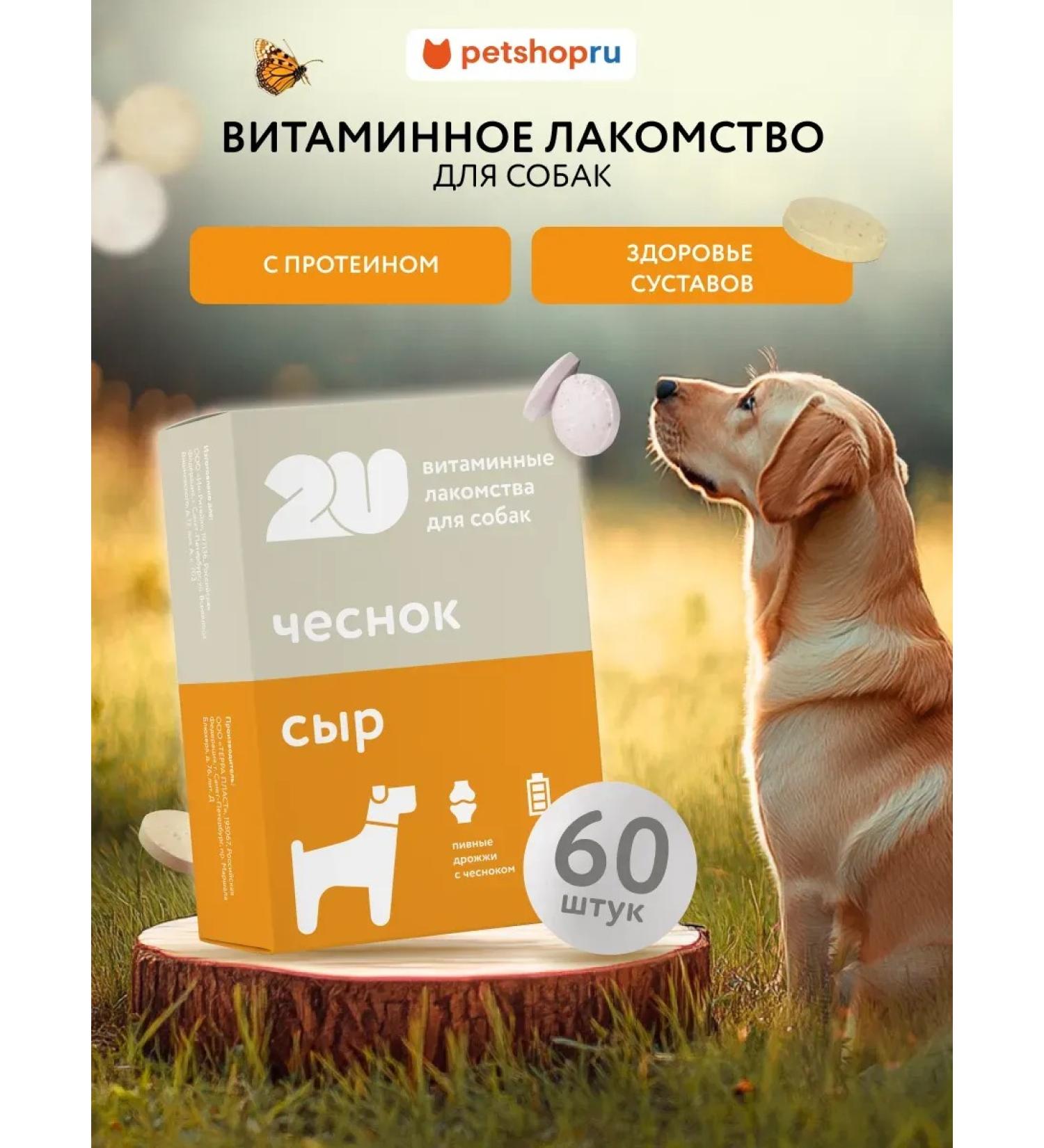 Multivitamin treat for dogs joint health 60pcs - Buy Online on GoSupps.com