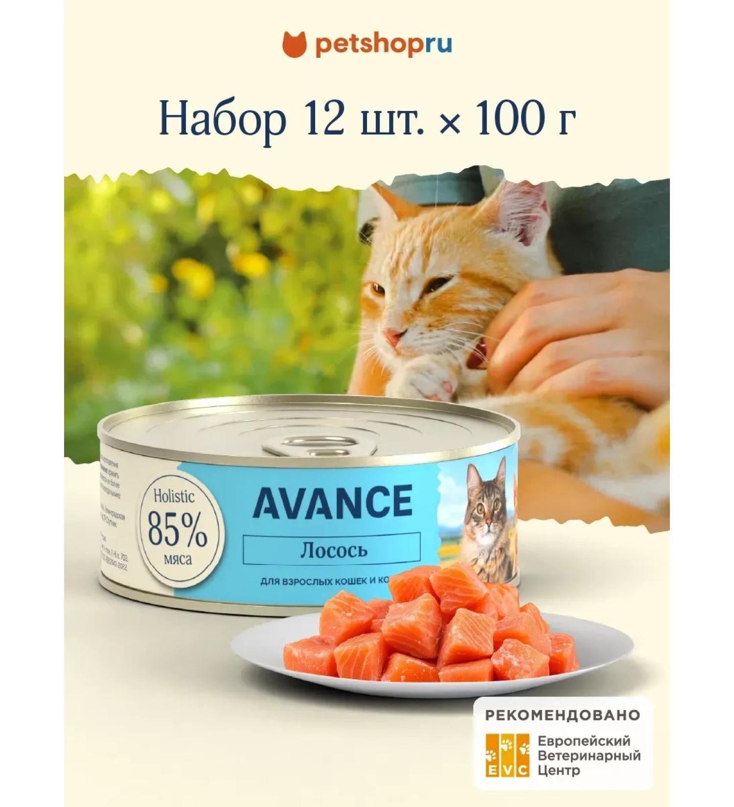 Advance Holistic Canned food for cats and kittens with salmon Salmon 12 x 100 g - Buy Online on GoSupps.com