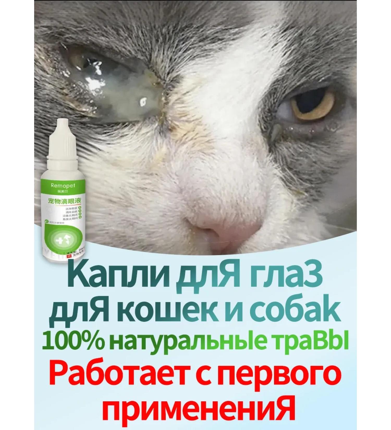 Eye drops for cats and dogs Otconcivitis 20 ml - Buy Online on GoSupps.com