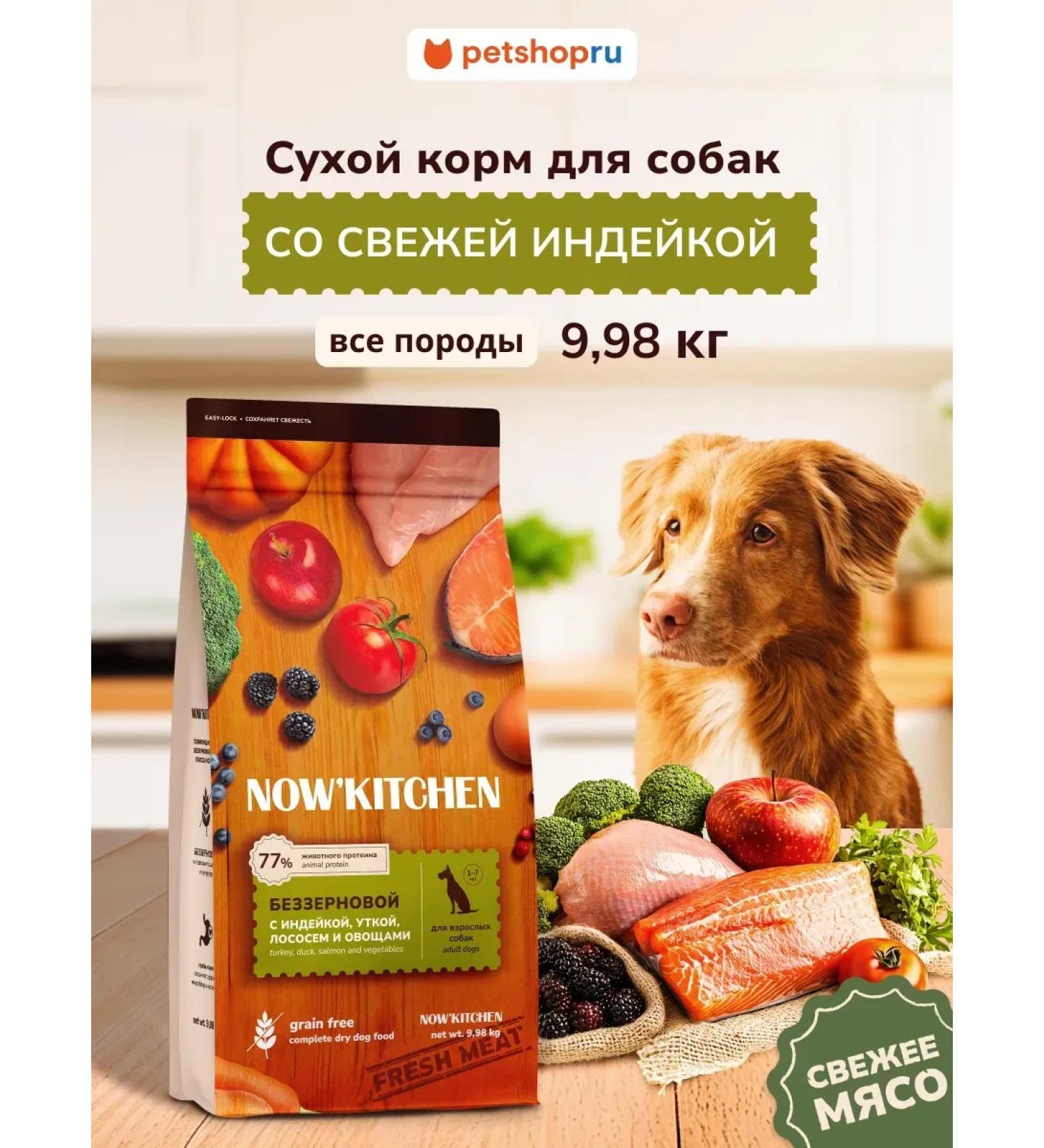 NOW'KITCHEN Dog feed turkey Adult Fresh Turkey Granfree 9.98 kg - Buy Online on GoSupps.com