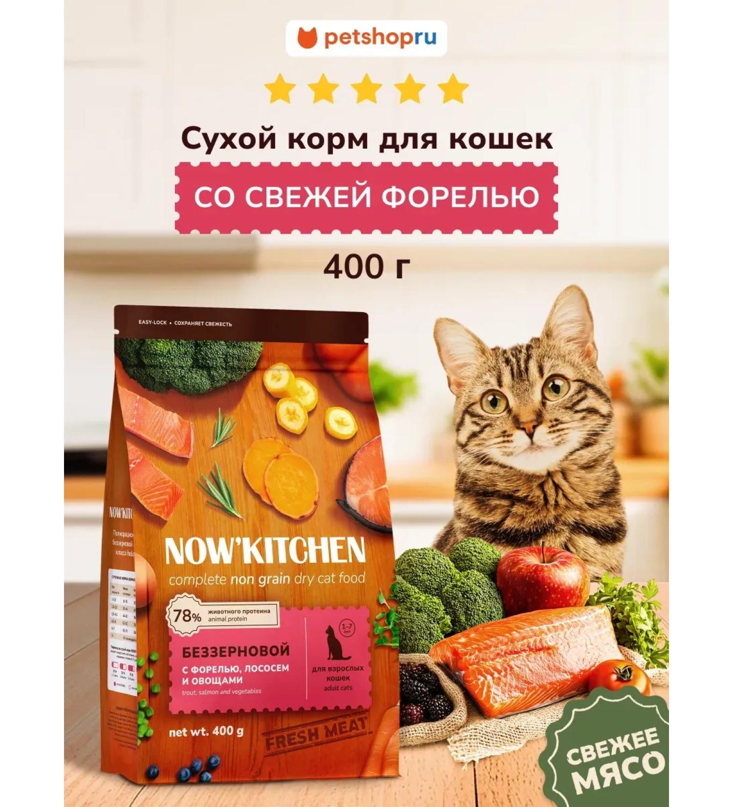 NOW'KITCHEN Cat Fryer Fresh Trout Granfree Cats 0.4 kg - Buy Online on GoSupps.com
