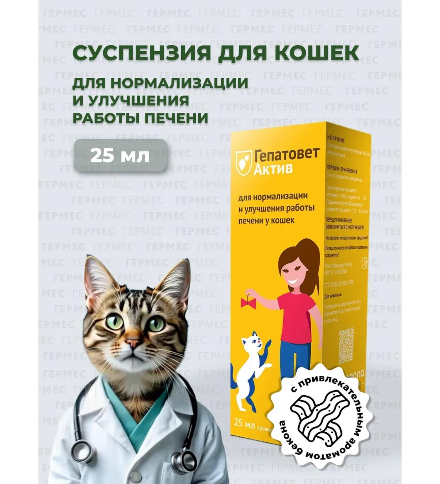 Apicenna Hepatovet asset for cats 25 ml - Buy Online on GoSupps.com