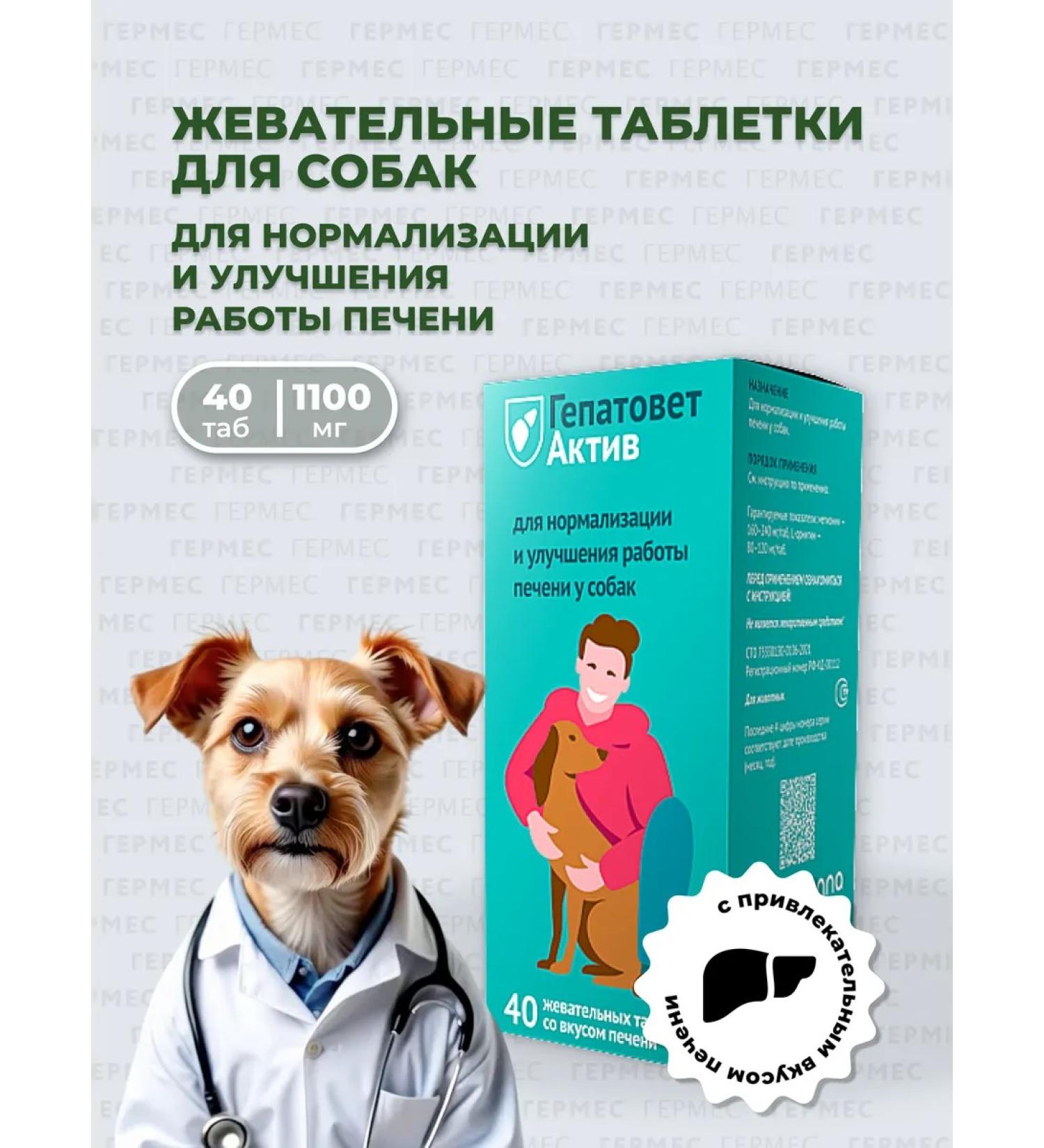 Apicenna Chewing hepatitis tablets asset for dogs 40 tab - Buy Online on GoSupps.com