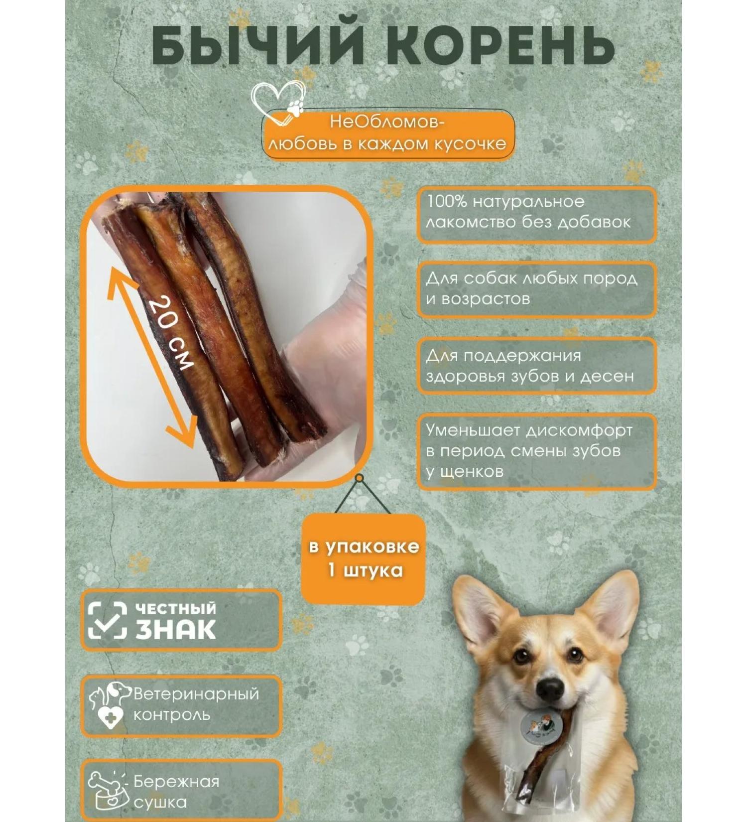 NeOblomov Natural treat for dogs bull root 20 cm - Buy Online on GoSupps.com