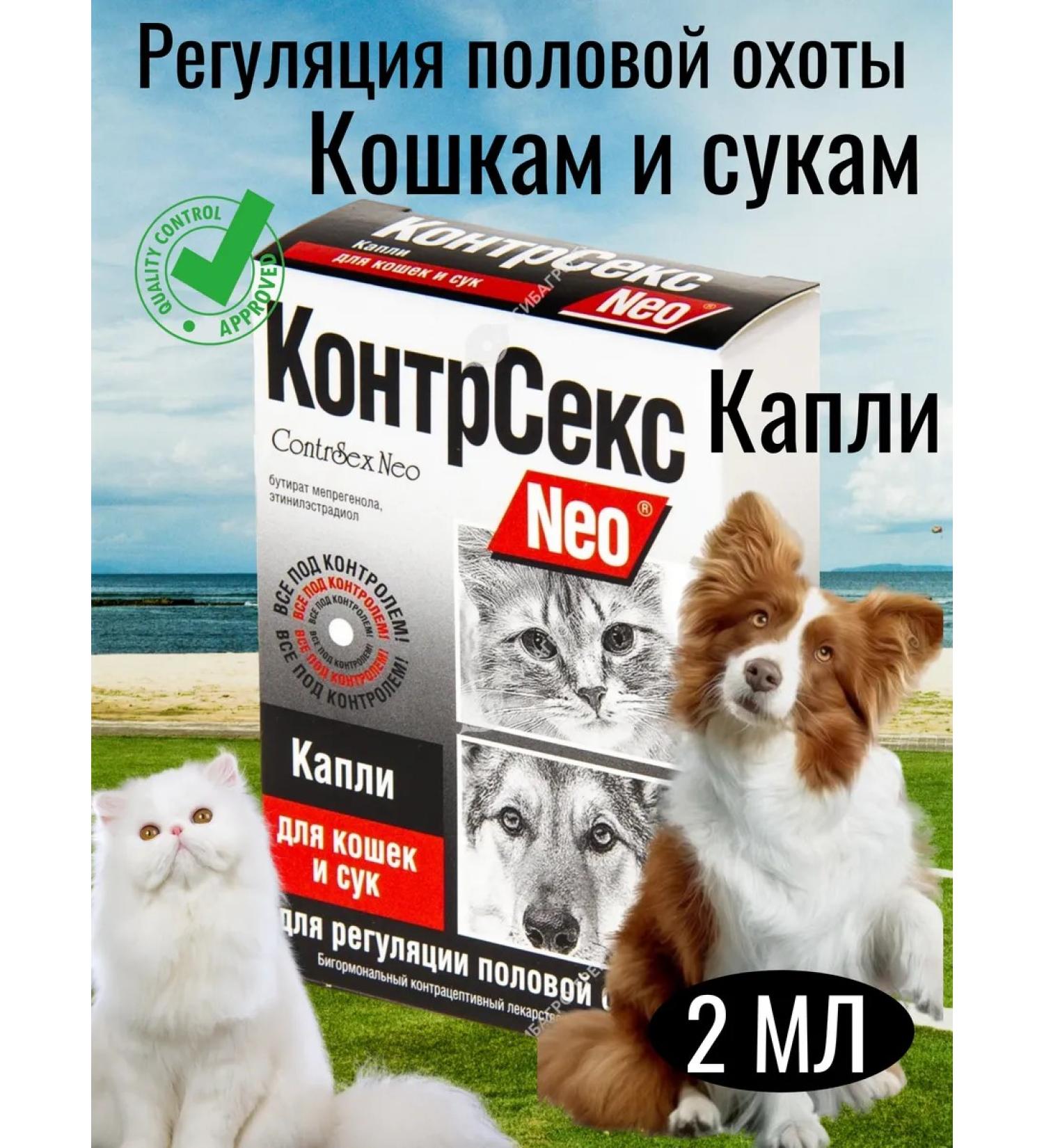 ASTRAPHARM NEO counter -sections for animals for cats and bitches - Buy Online on GoSupps.com