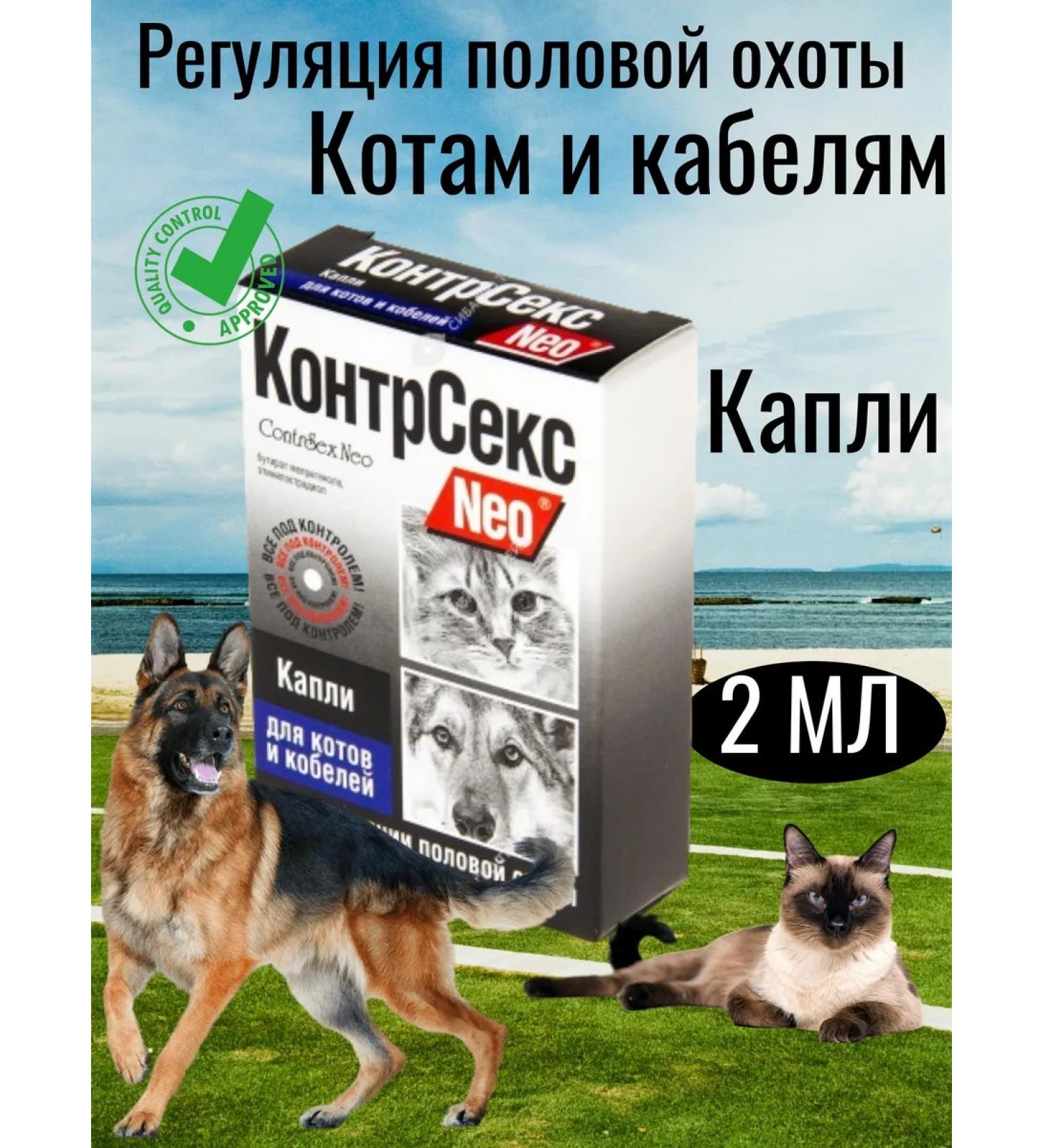 ASTRAPHARM NEO counter -sections for animals for cats and cables - Buy Online on GoSupps.com